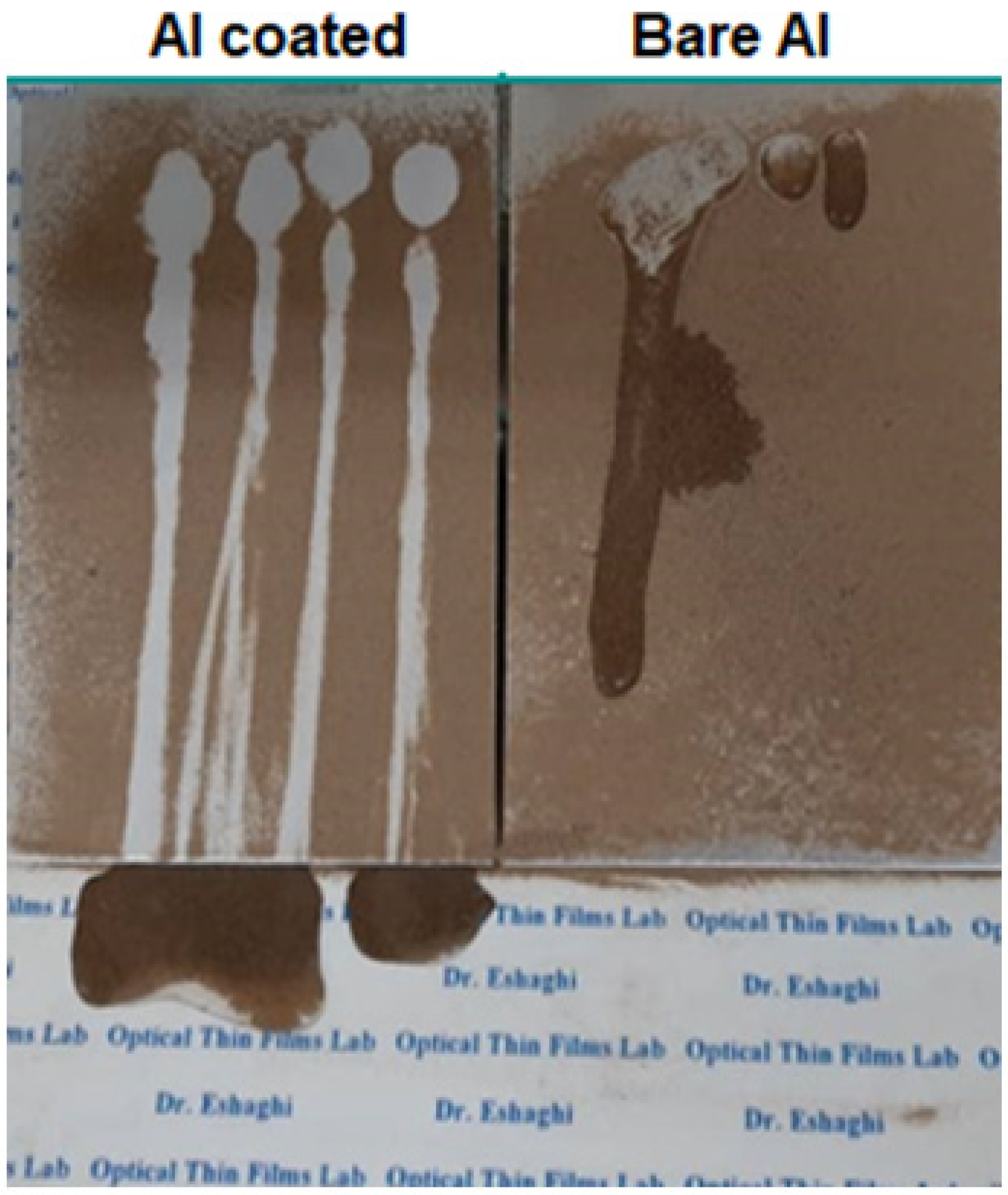 Preprints 87801 g009