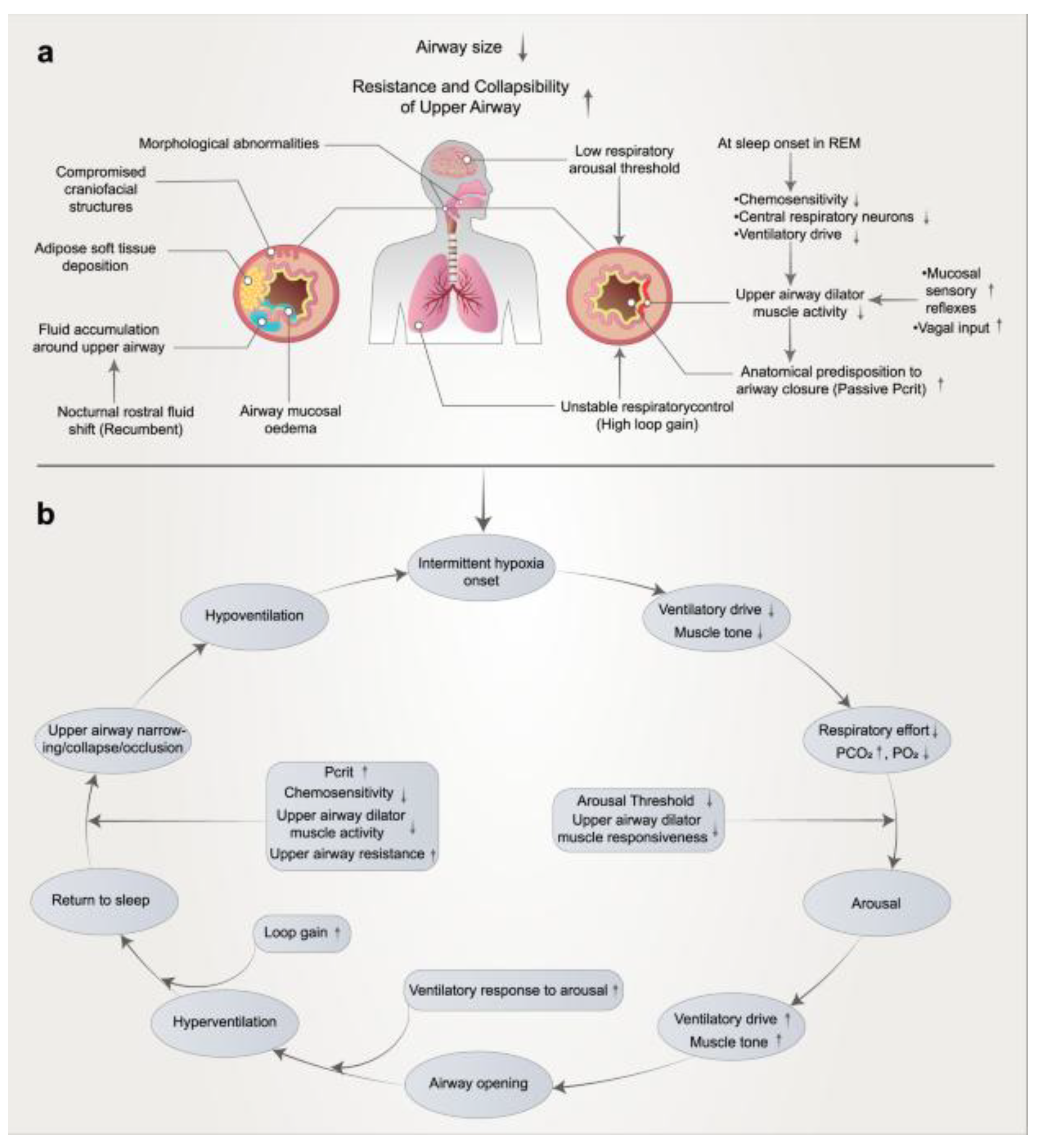 Preprints 194487 g002