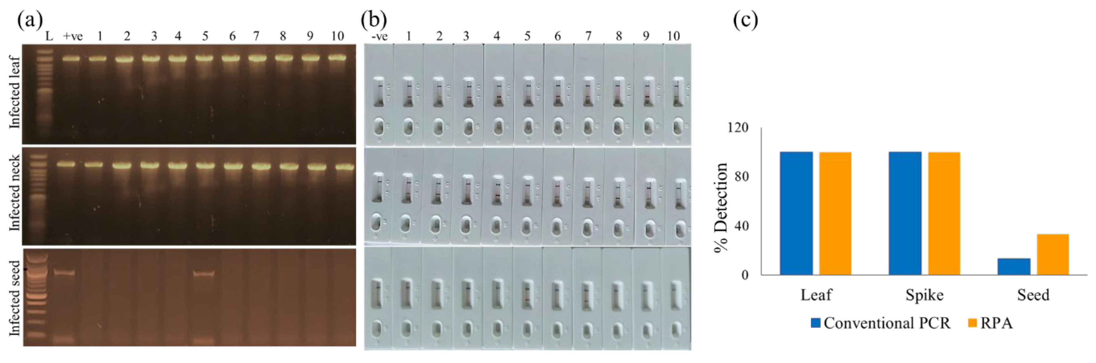 Preprints 193079 g005