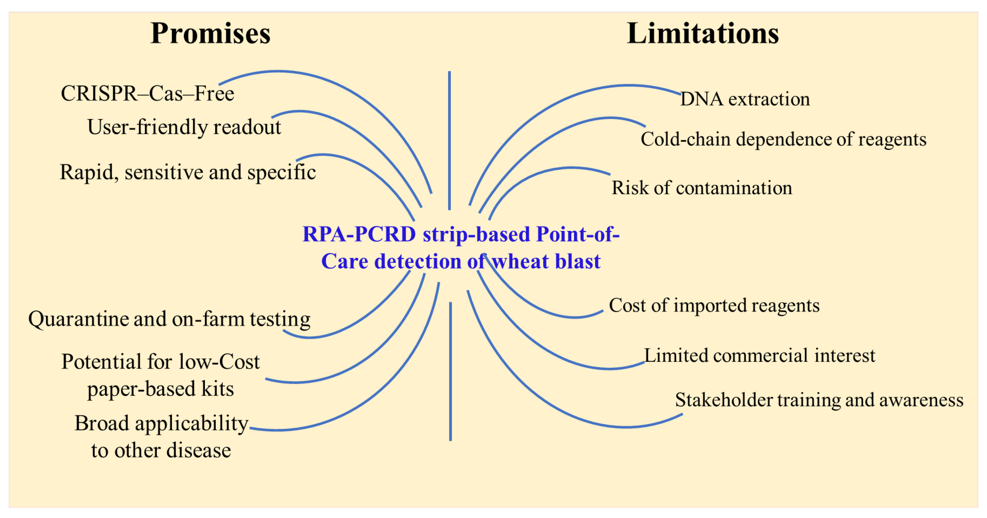 Preprints 193079 g006
