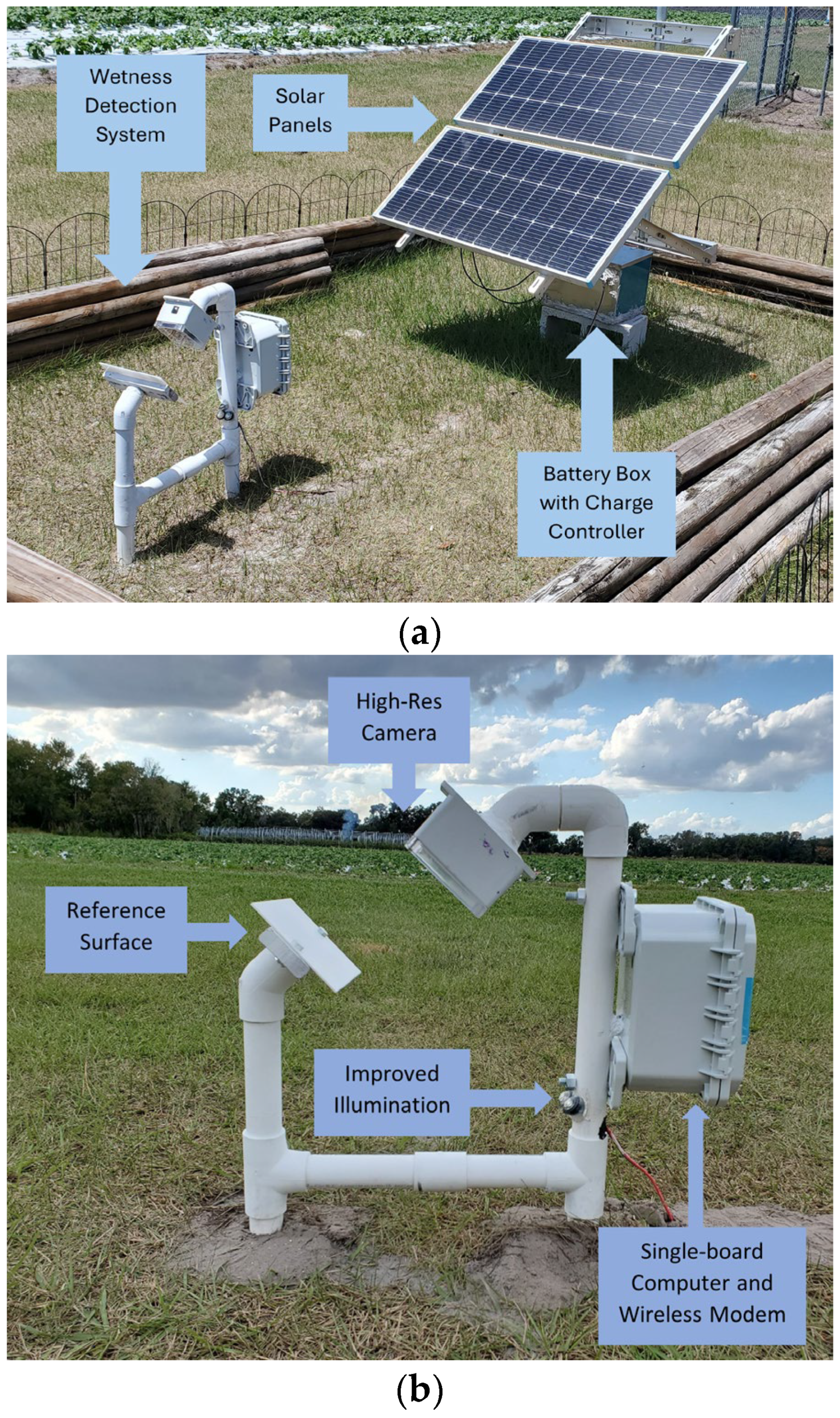 Preprints 110688 g002