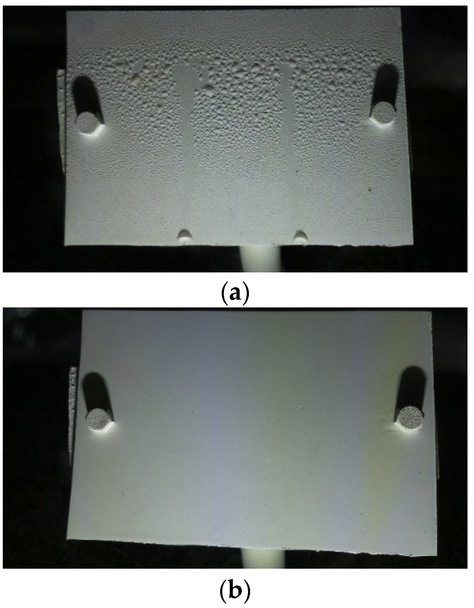 Preprints 110688 g009