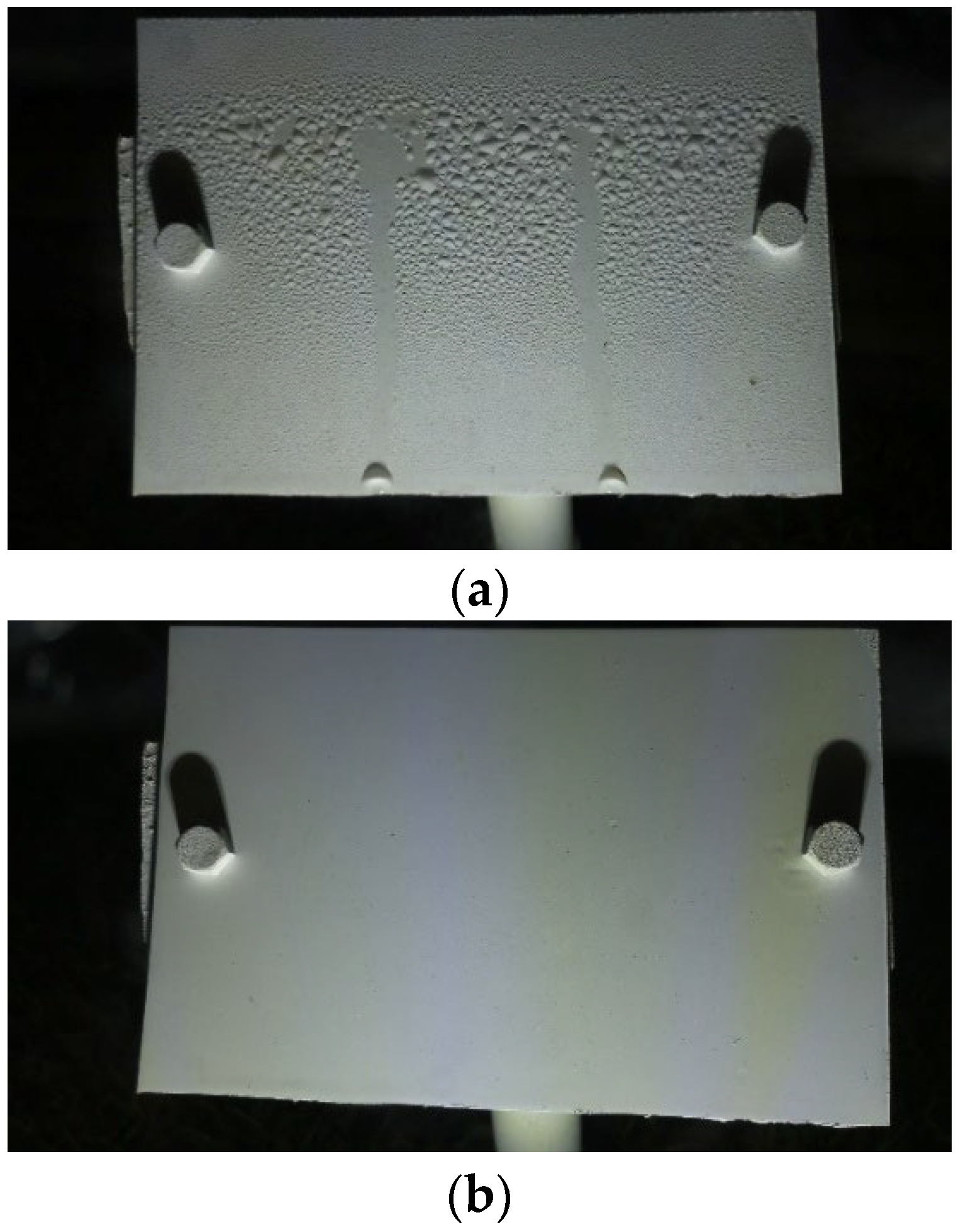 Preprints 110688 g019