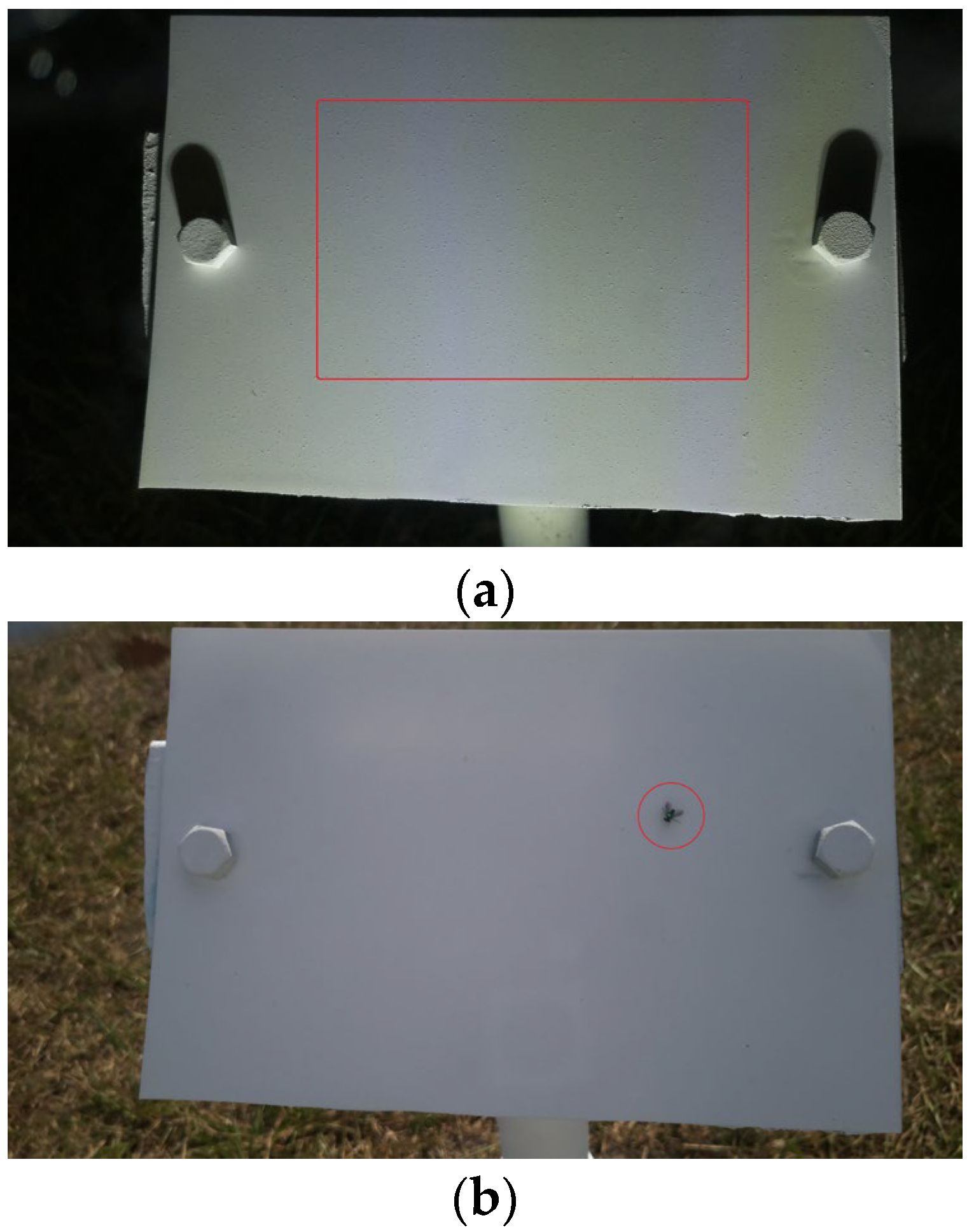 Preprints 110688 g021