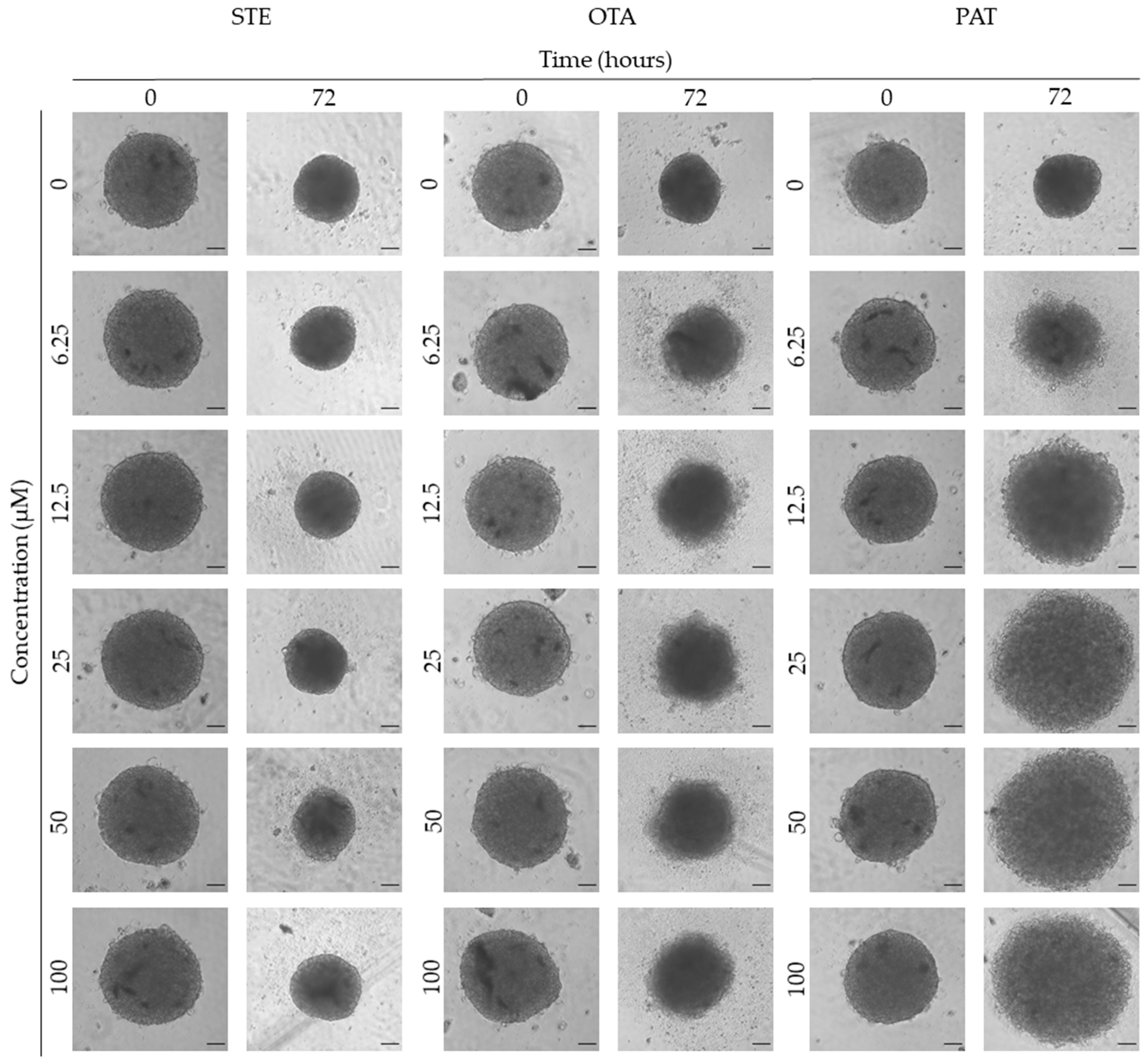 Preprints 94815 g003