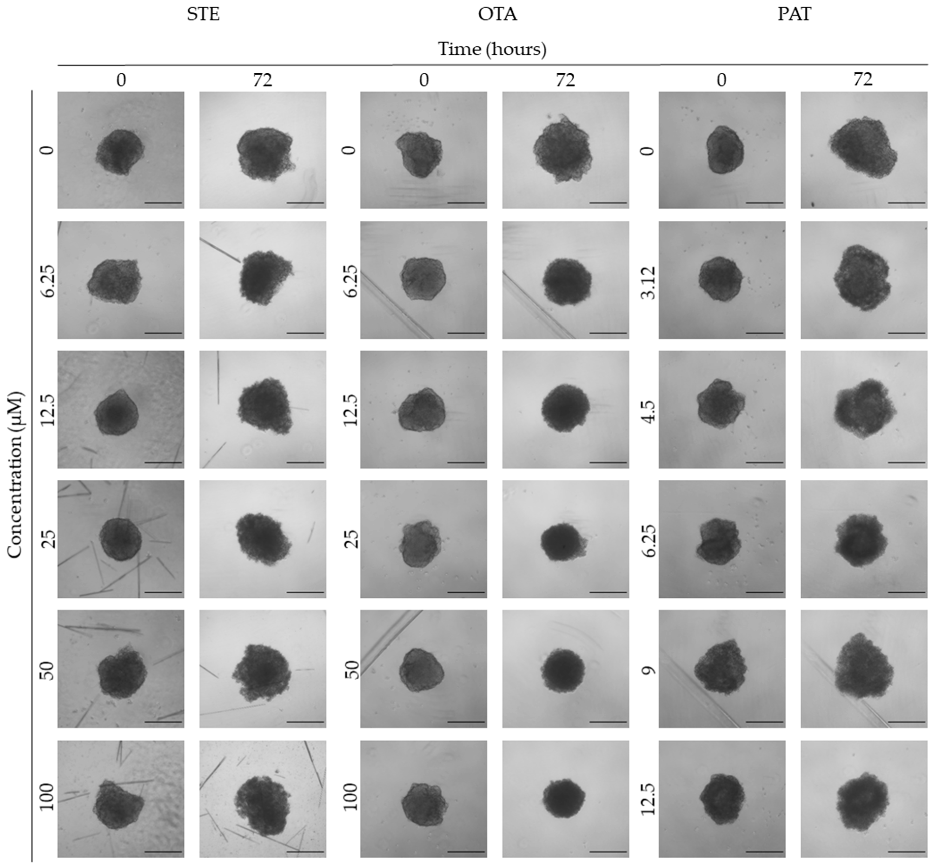 Preprints 94815 g006