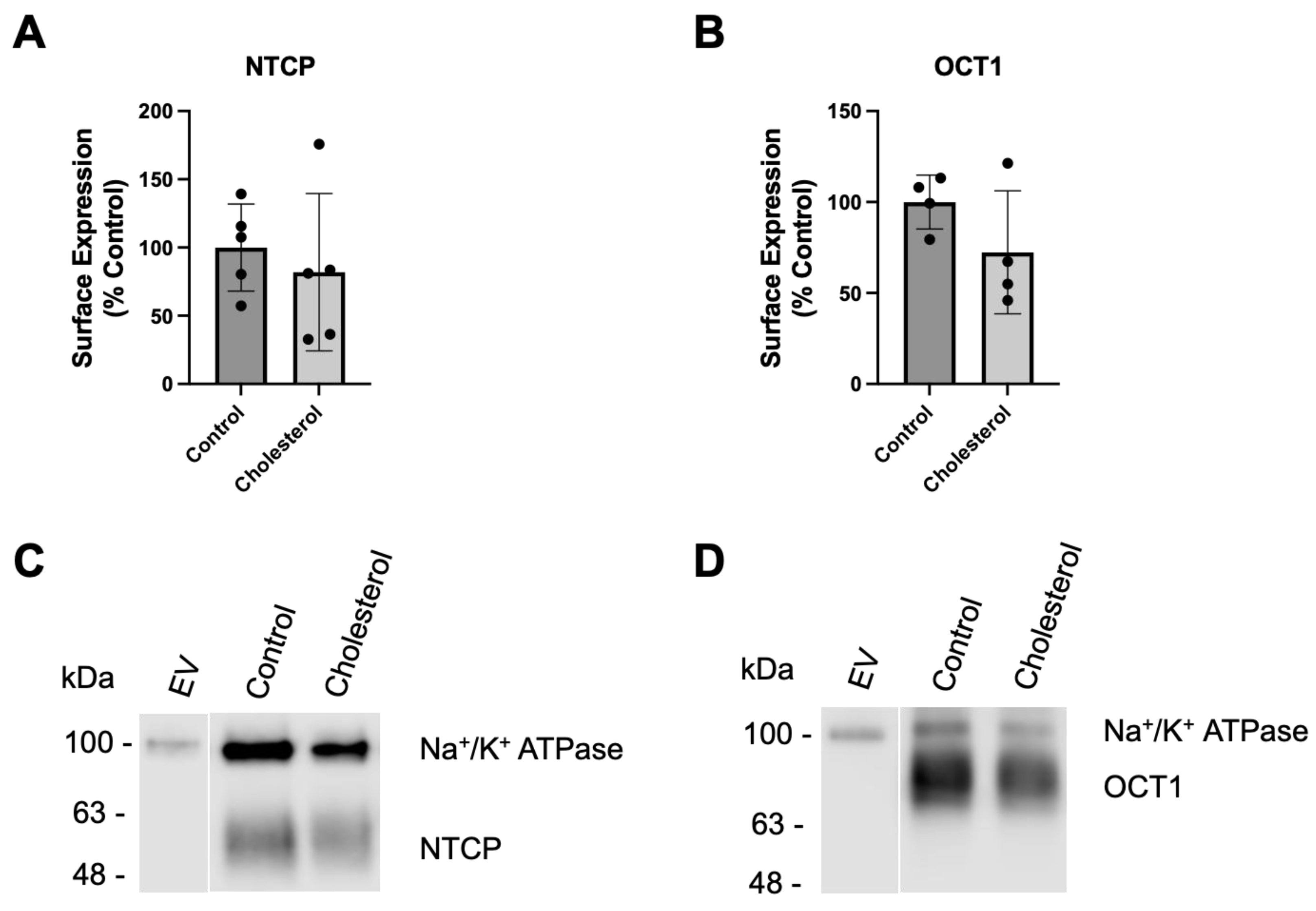 Preprints 167255 g003