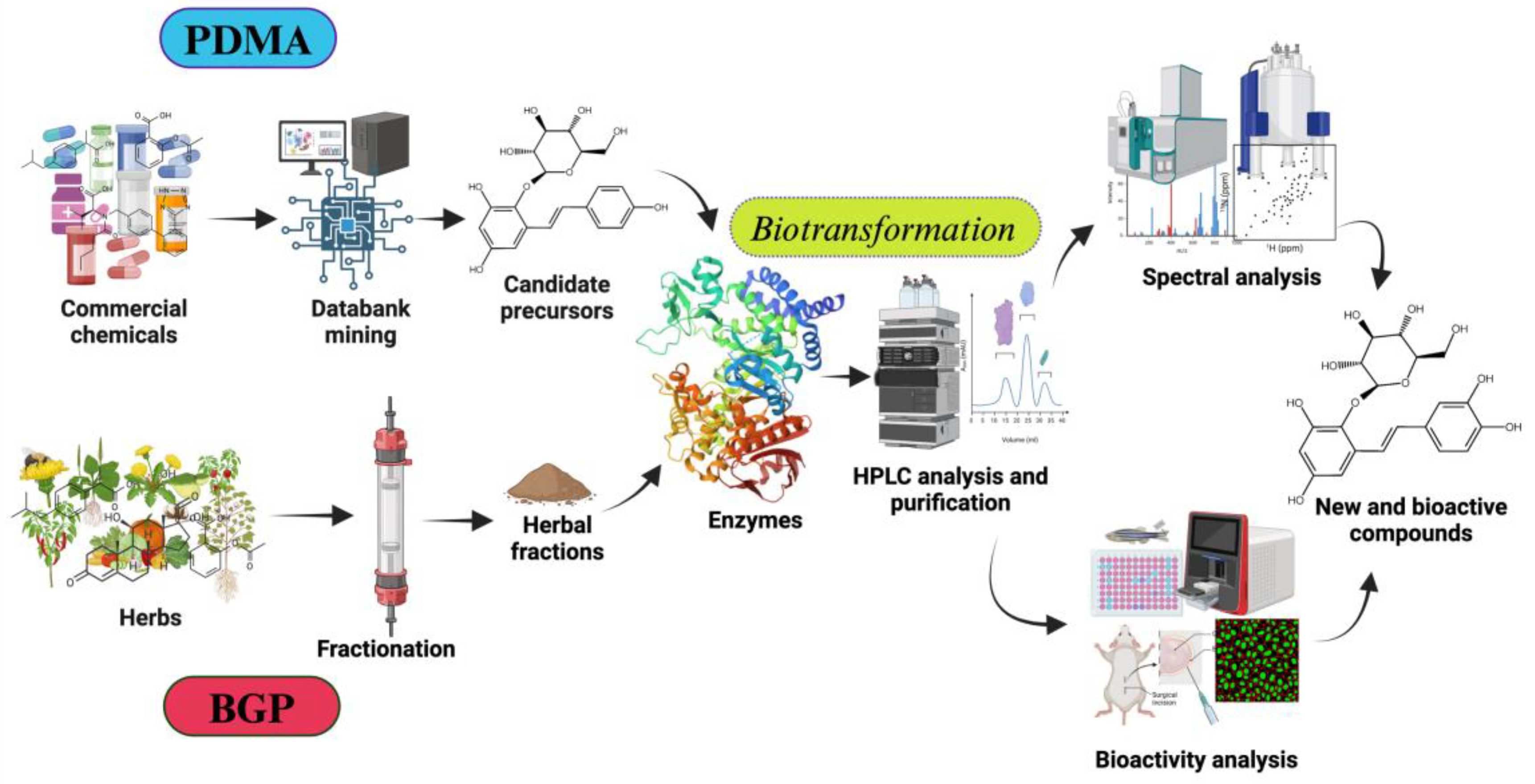 Preprints 154714 g001
