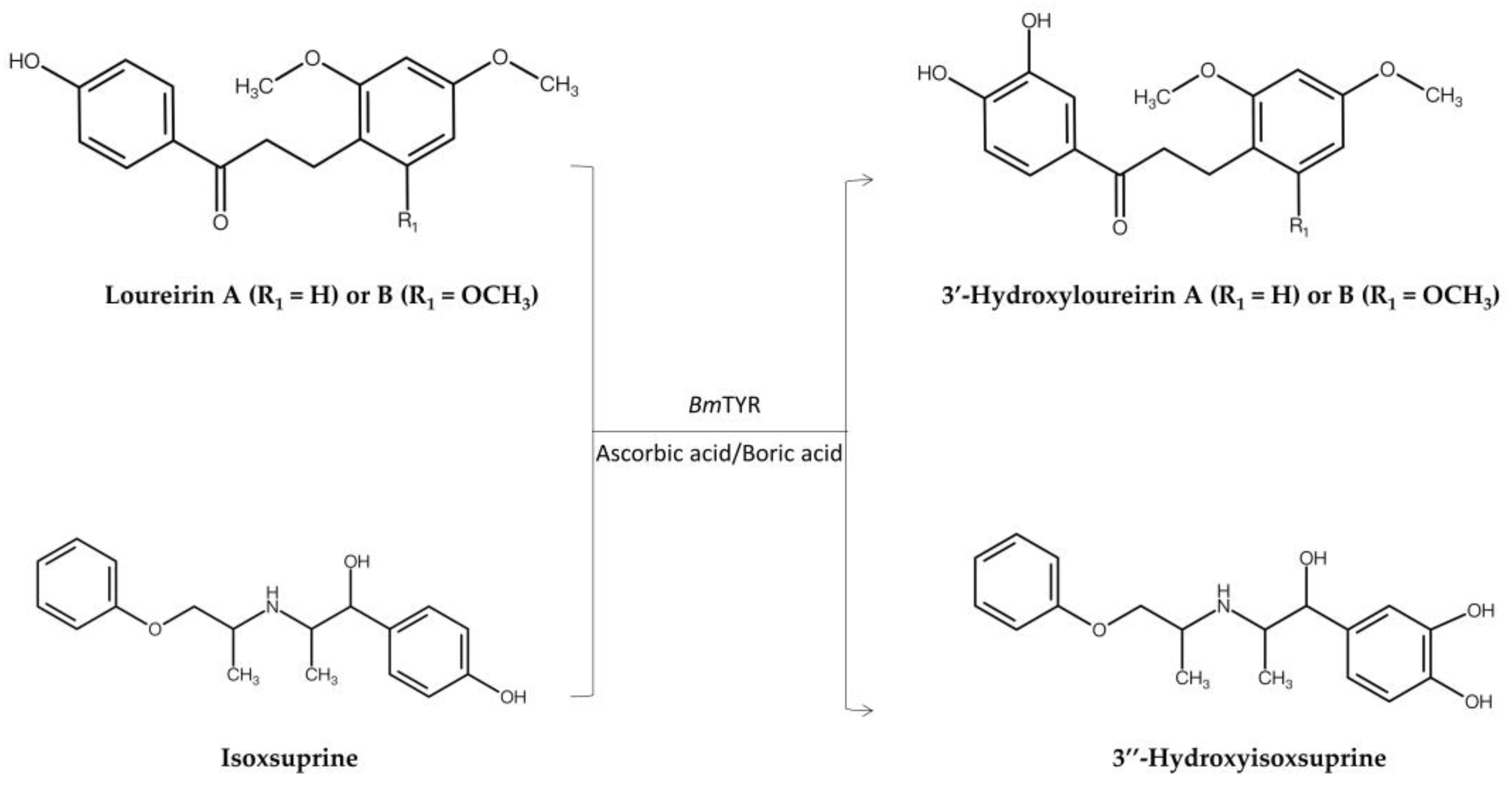 Preprints 154714 g003