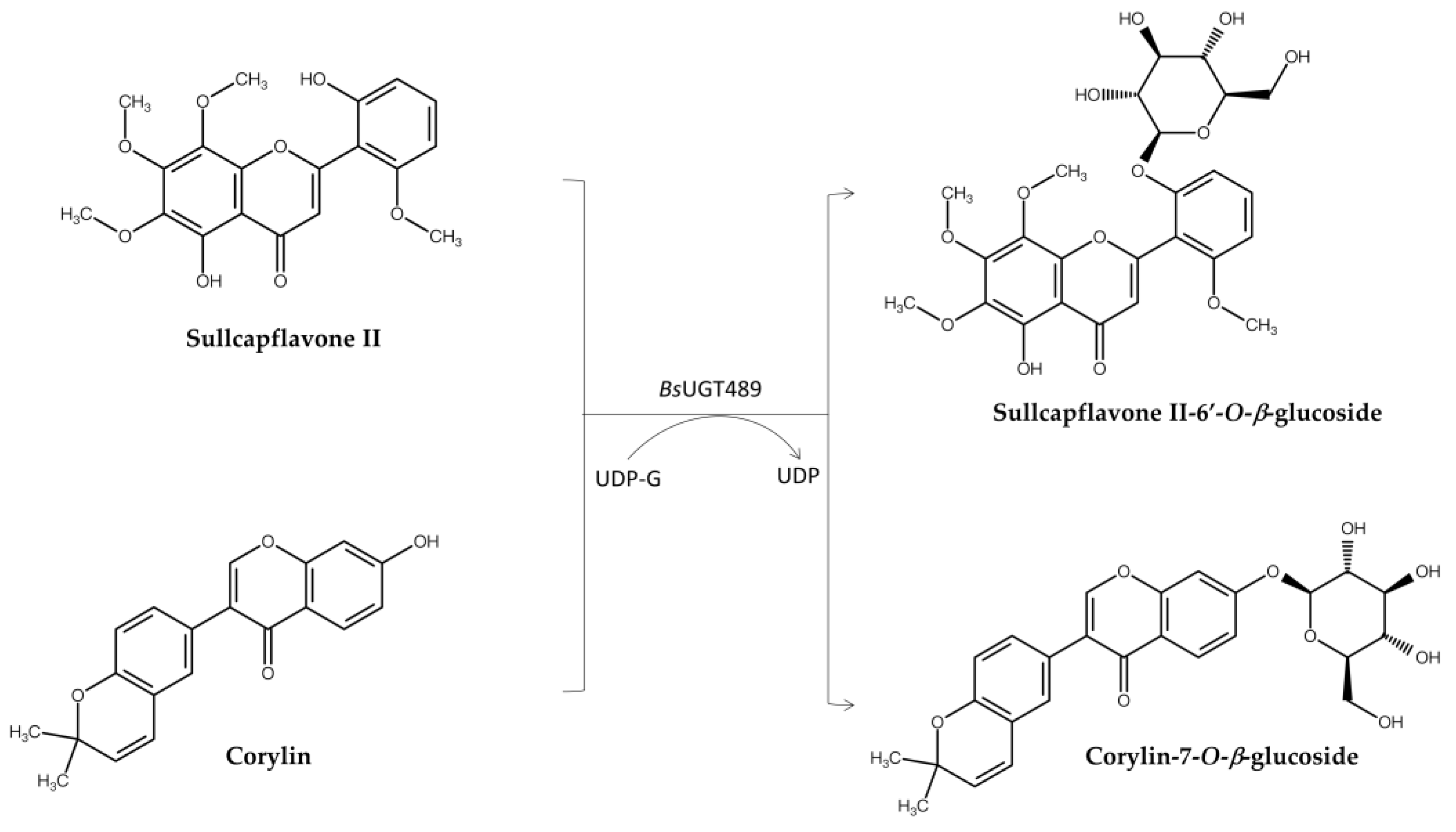 Preprints 154714 g004