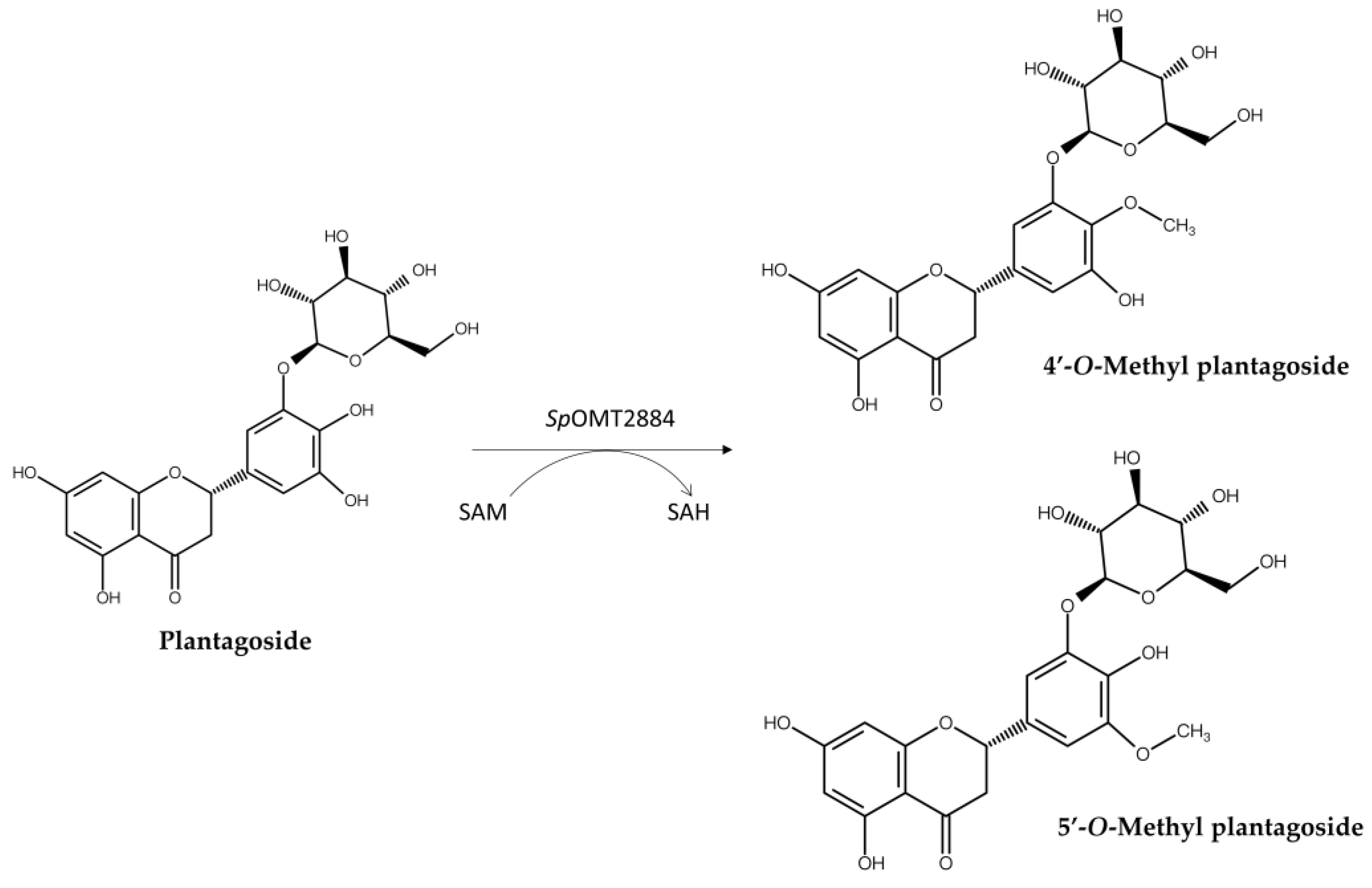 Preprints 154714 g005