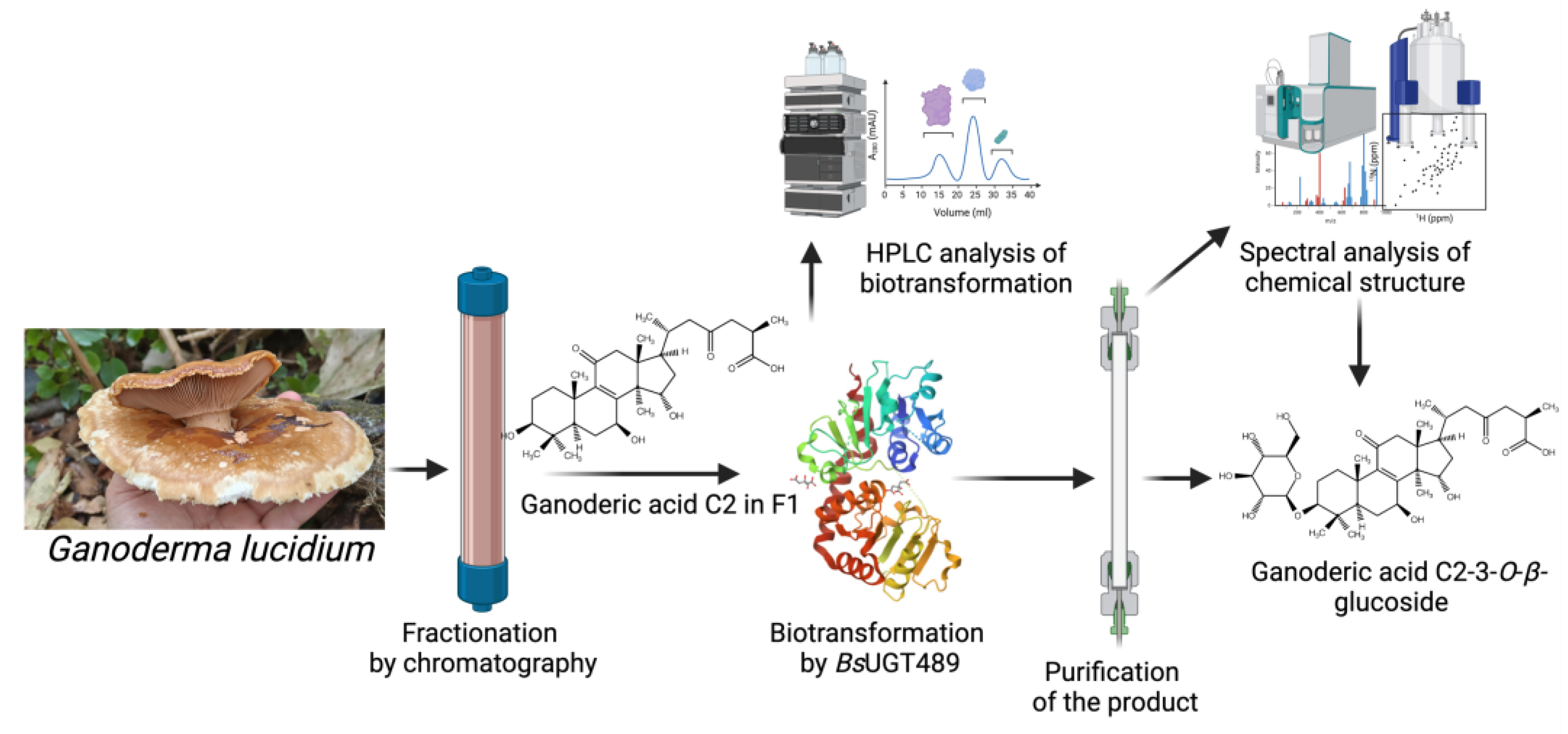 Preprints 154714 g007