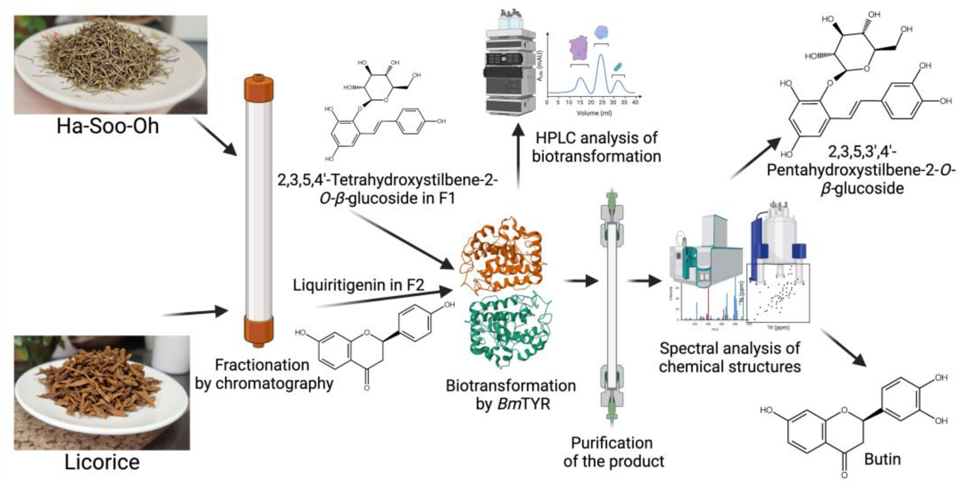 Preprints 154714 g009