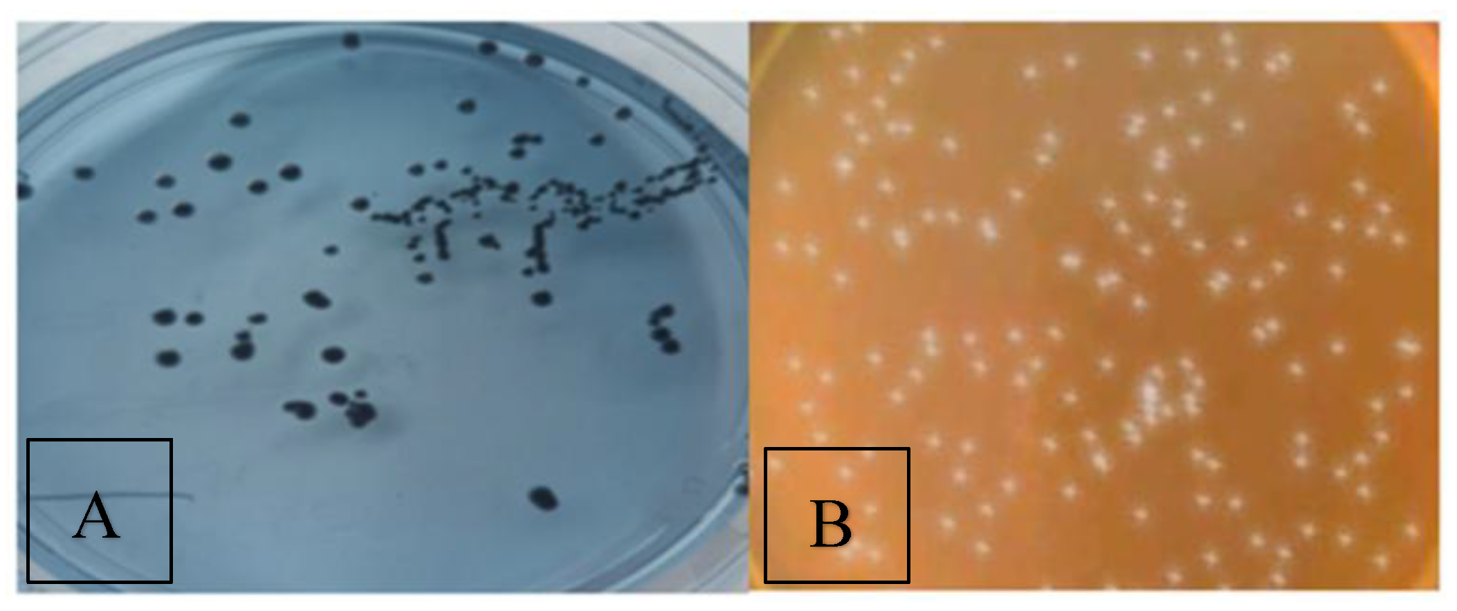 Preprints 168732 g003