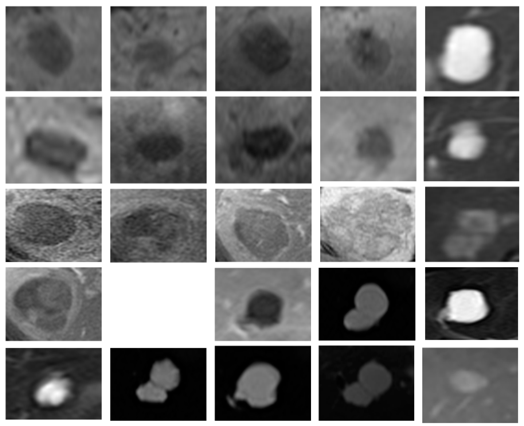 Preprints 156008 g001