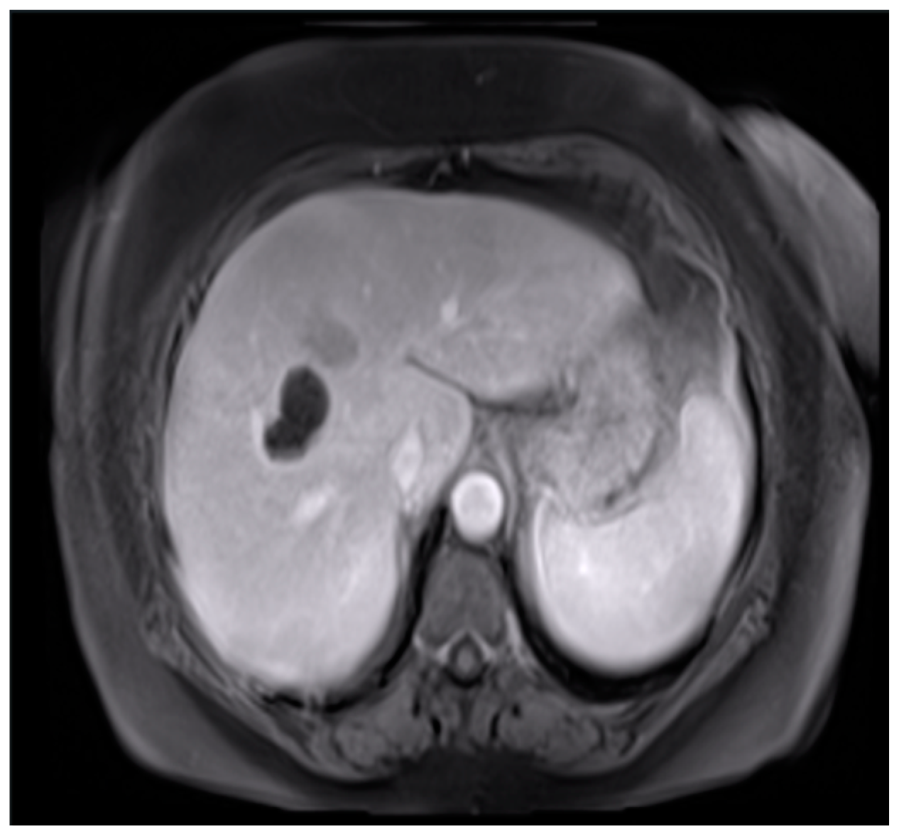 Preprints 156008 g003