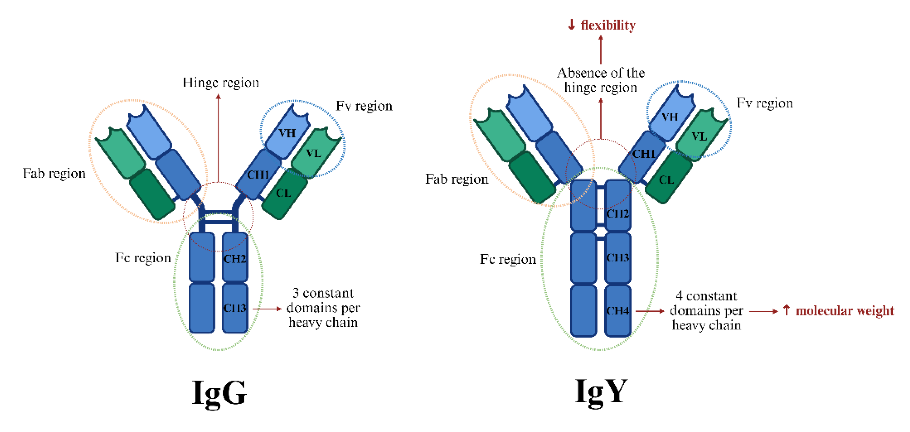 Preprints 160558 g001