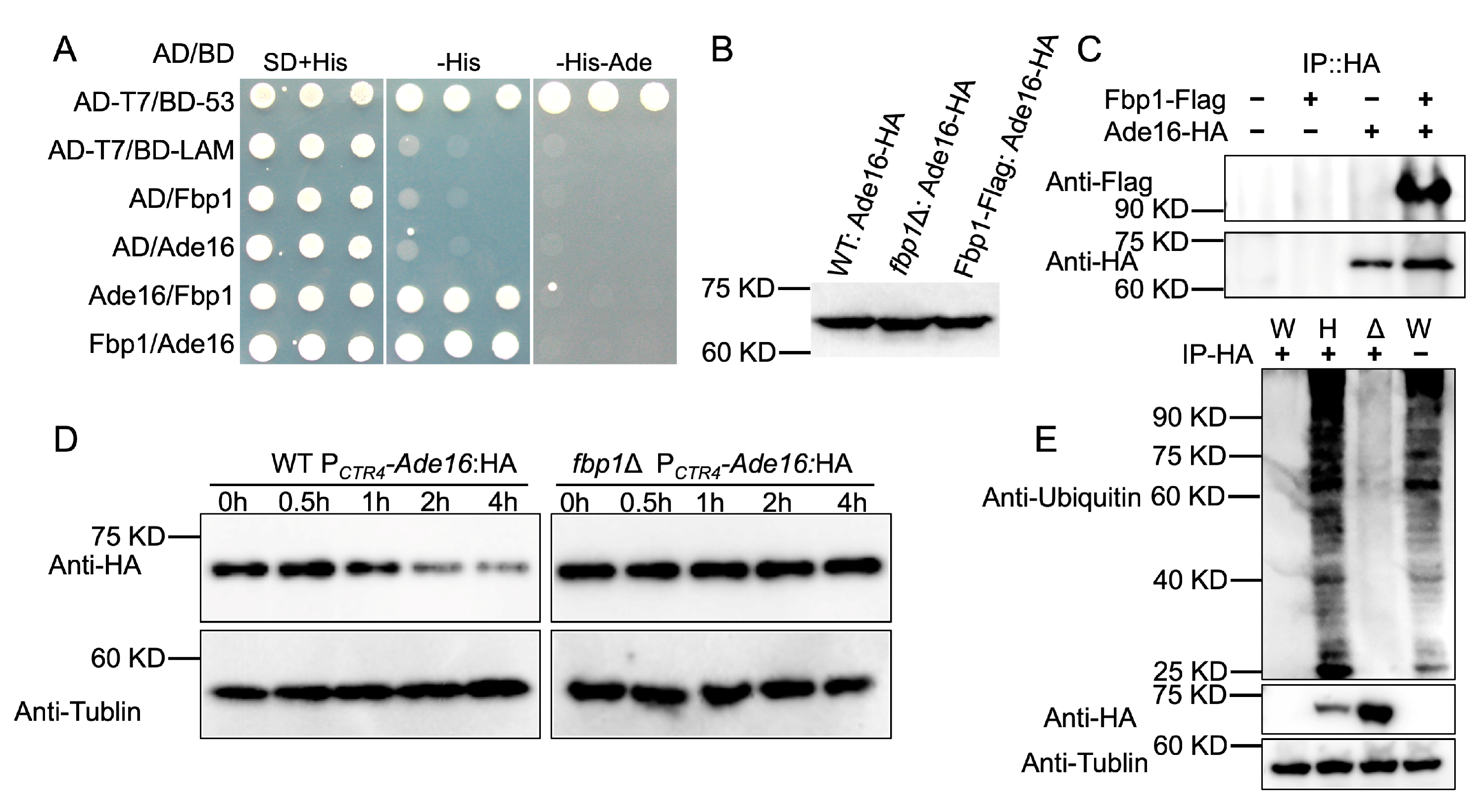 Preprints 72549 g002