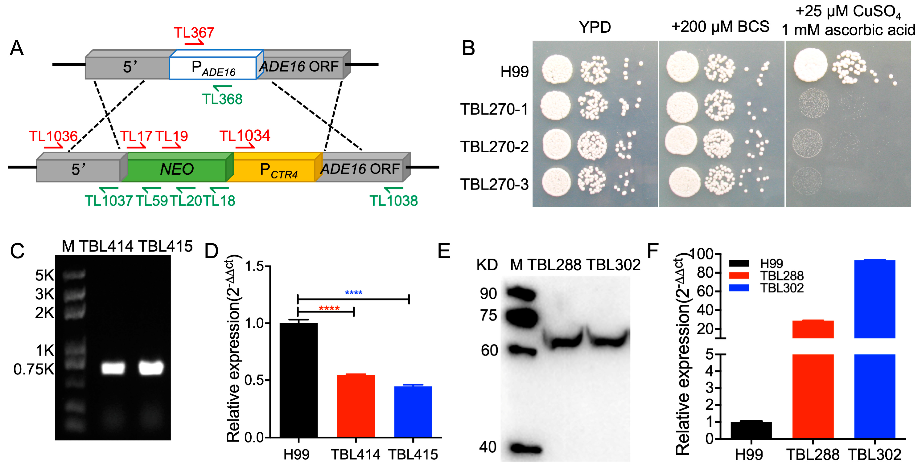Preprints 72549 g003