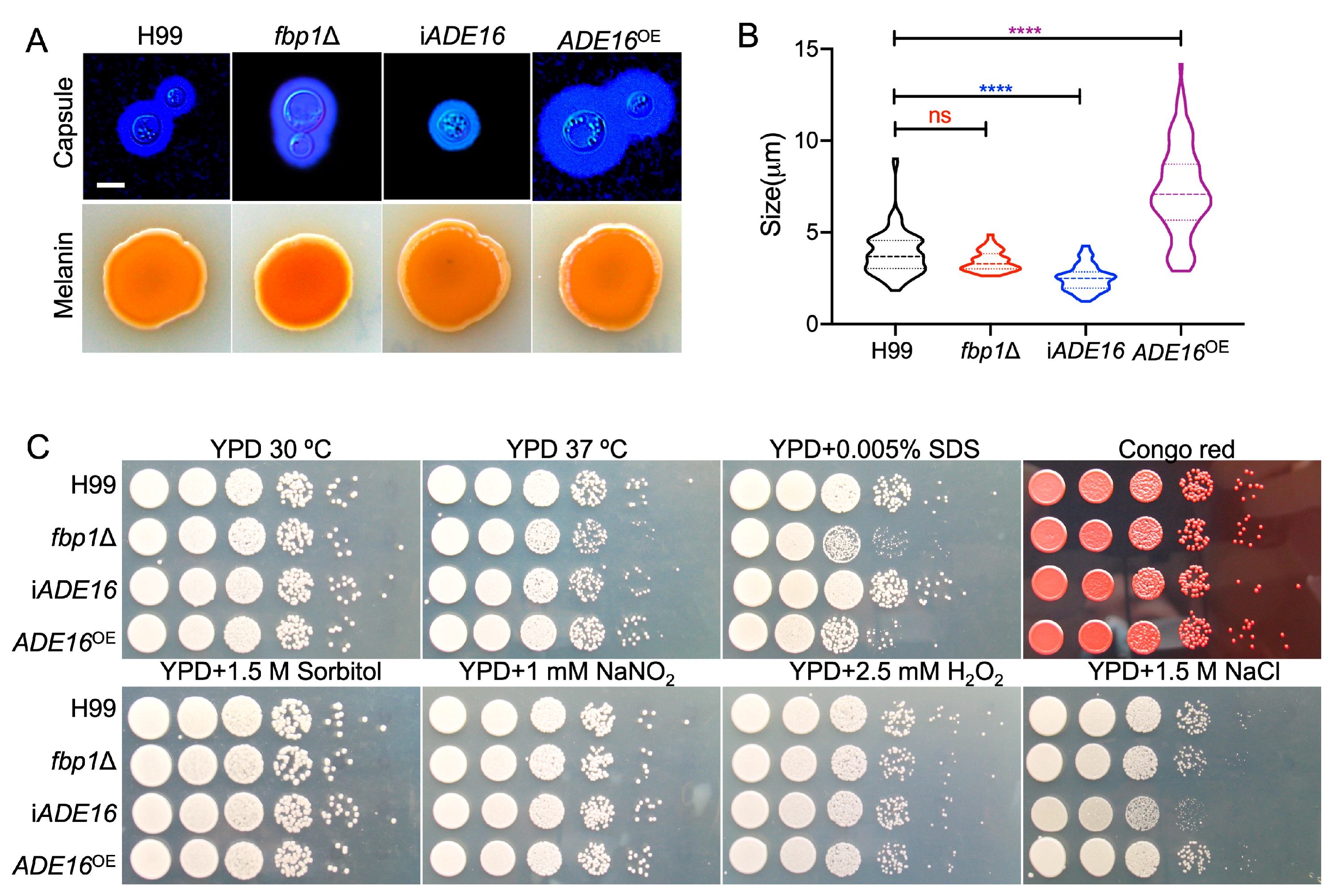 Preprints 72549 g004