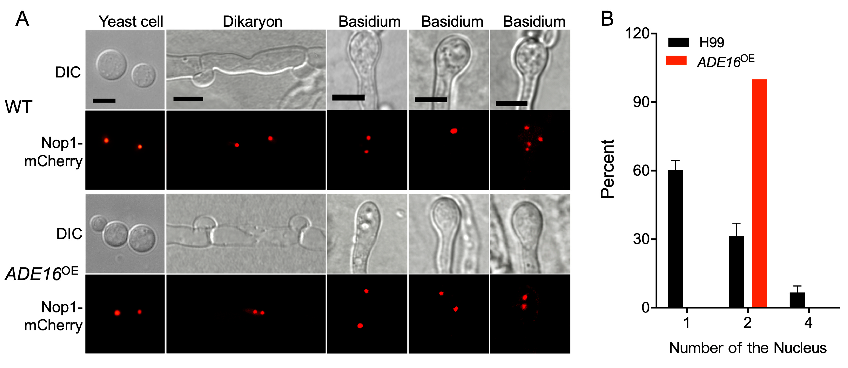 Preprints 72549 g006