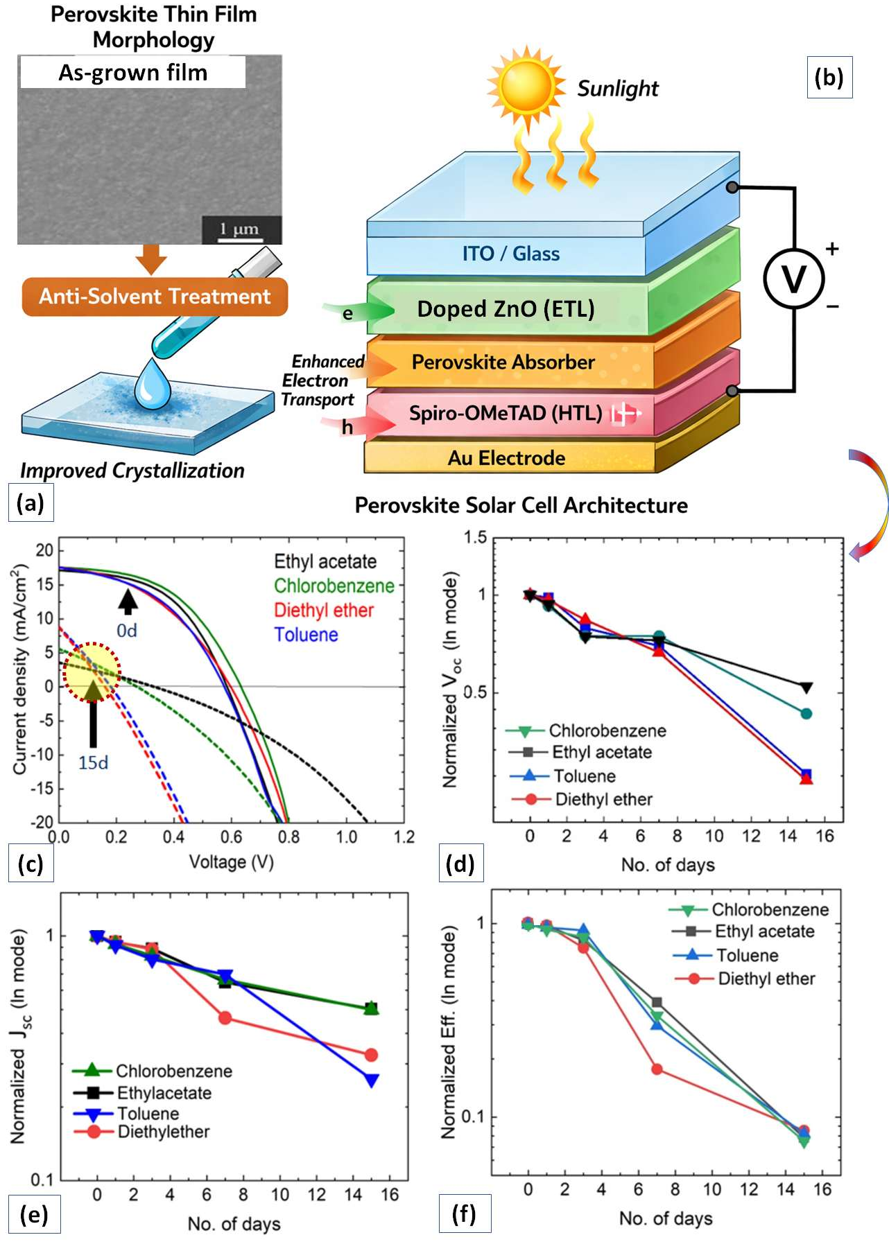 Preprints 198698 g005