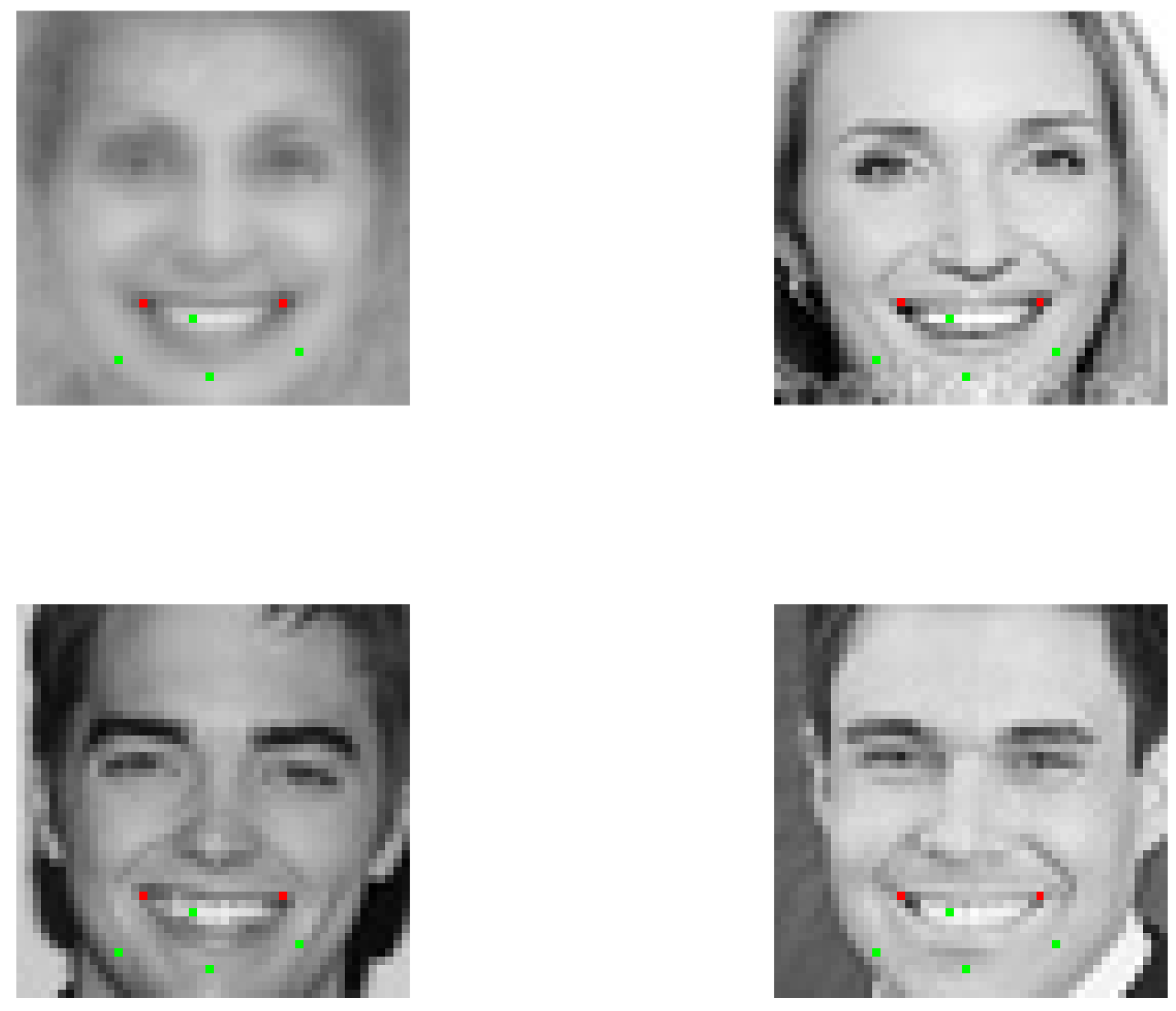 Preprints 146456 g010