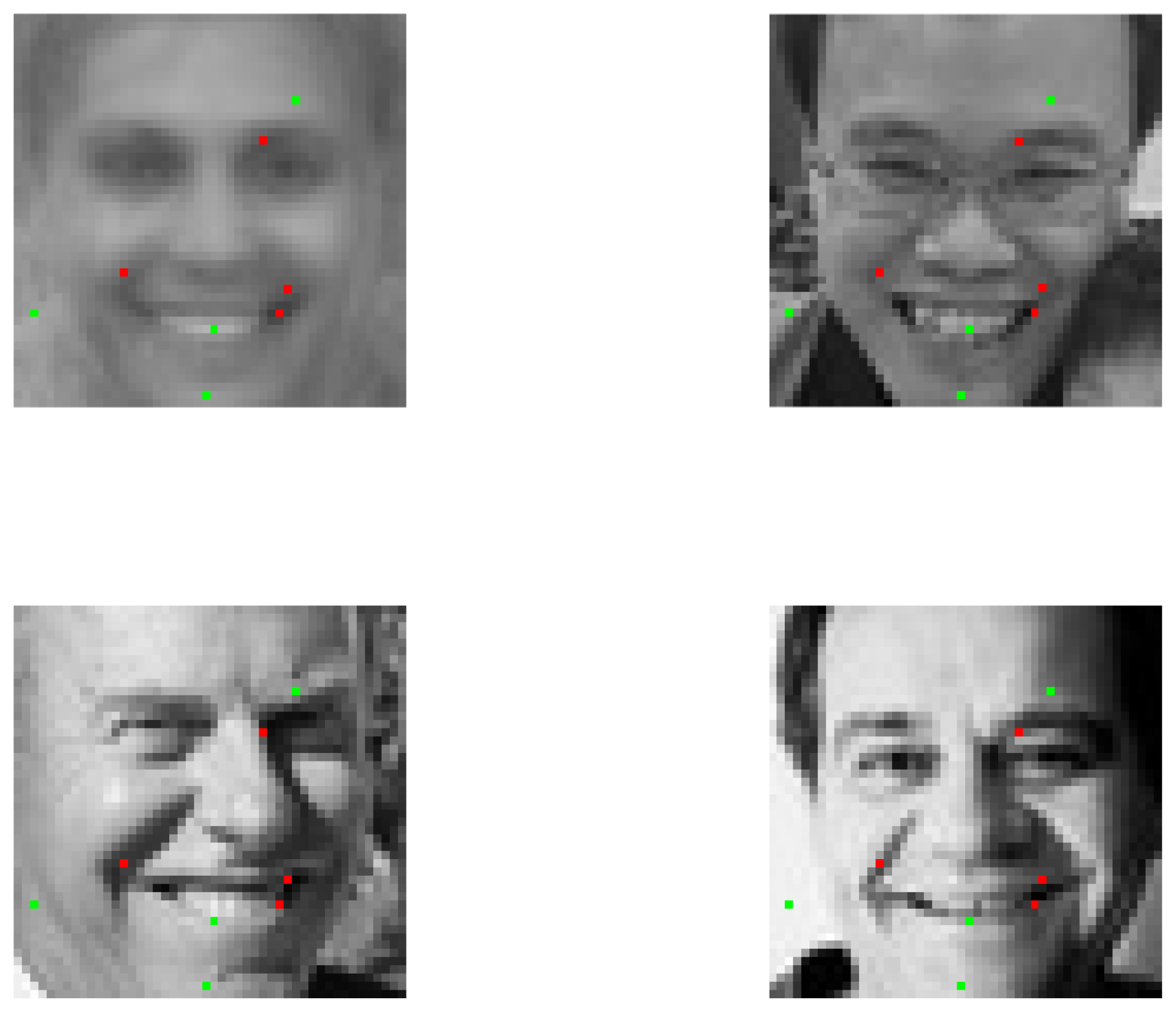 Preprints 146456 g011