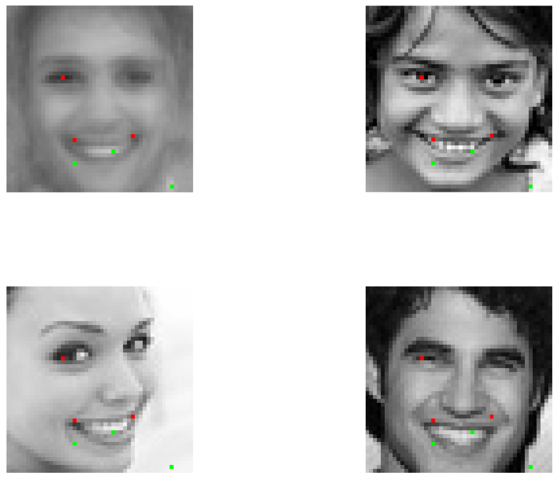 Preprints 146456 g012