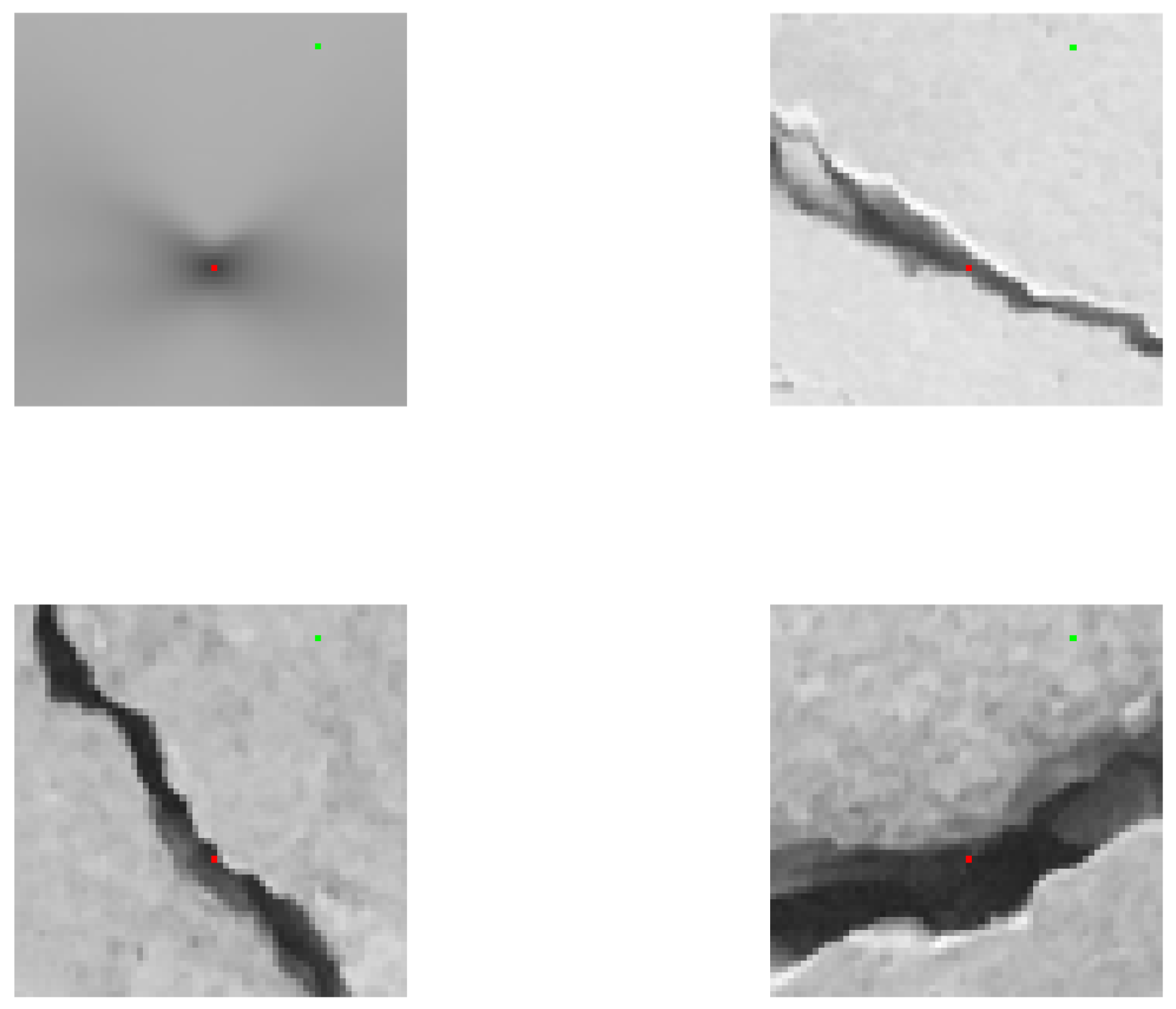 Preprints 146456 g014