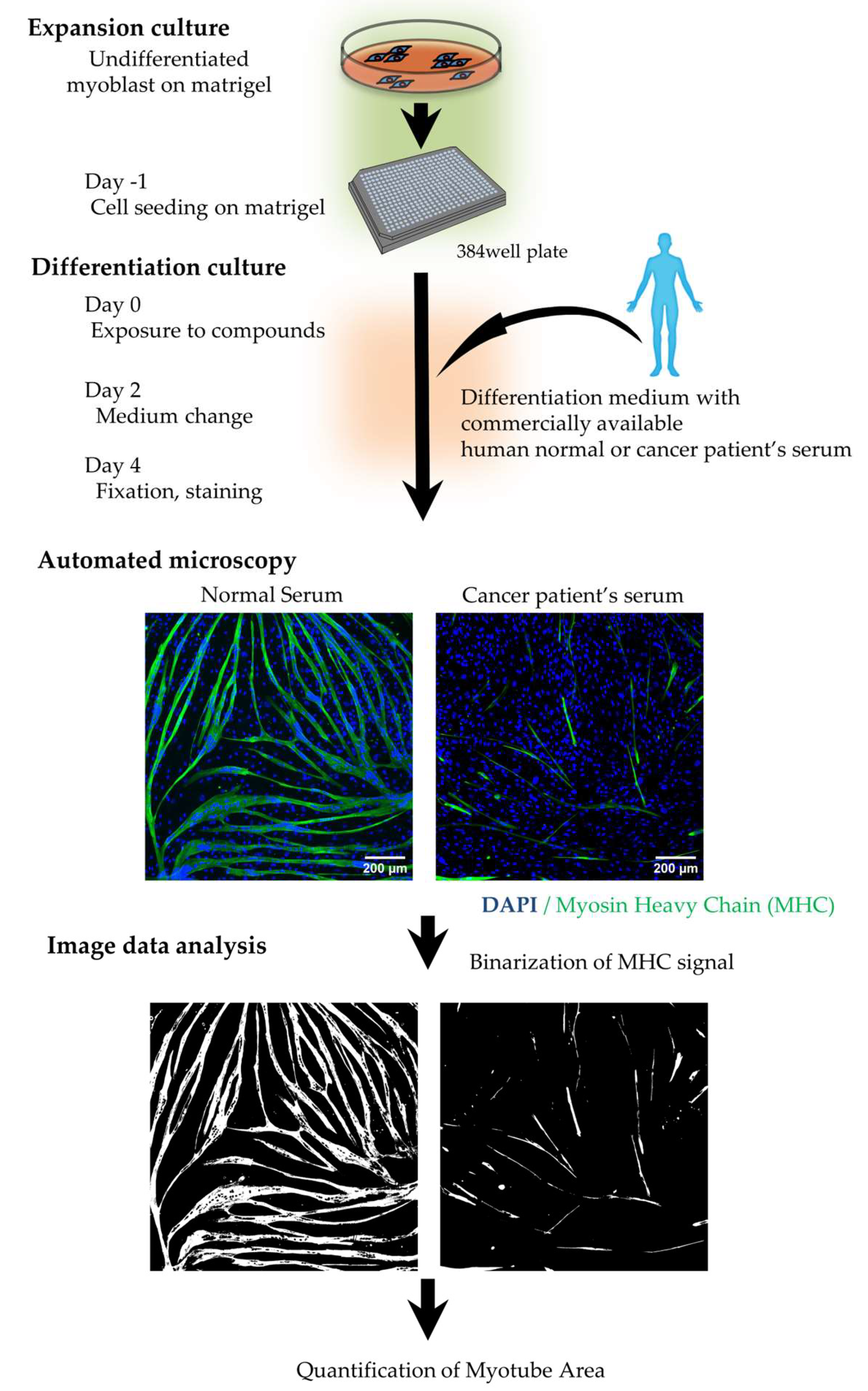 Preprints 151374 g003