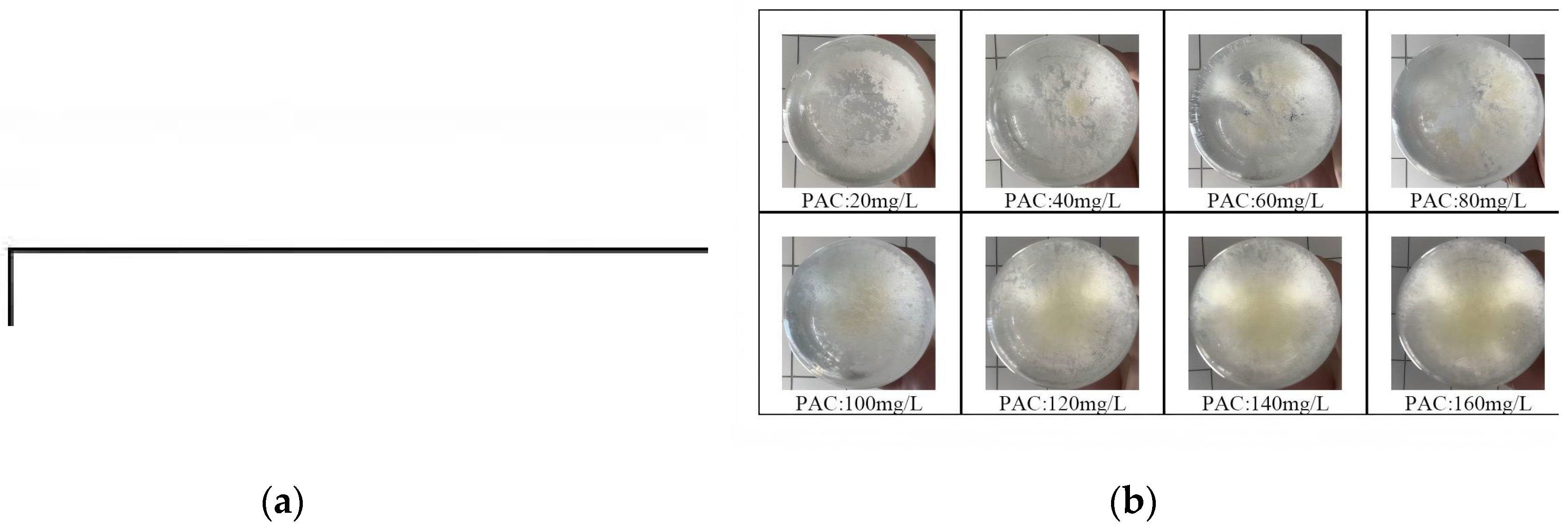 Preprints 198164 g013a