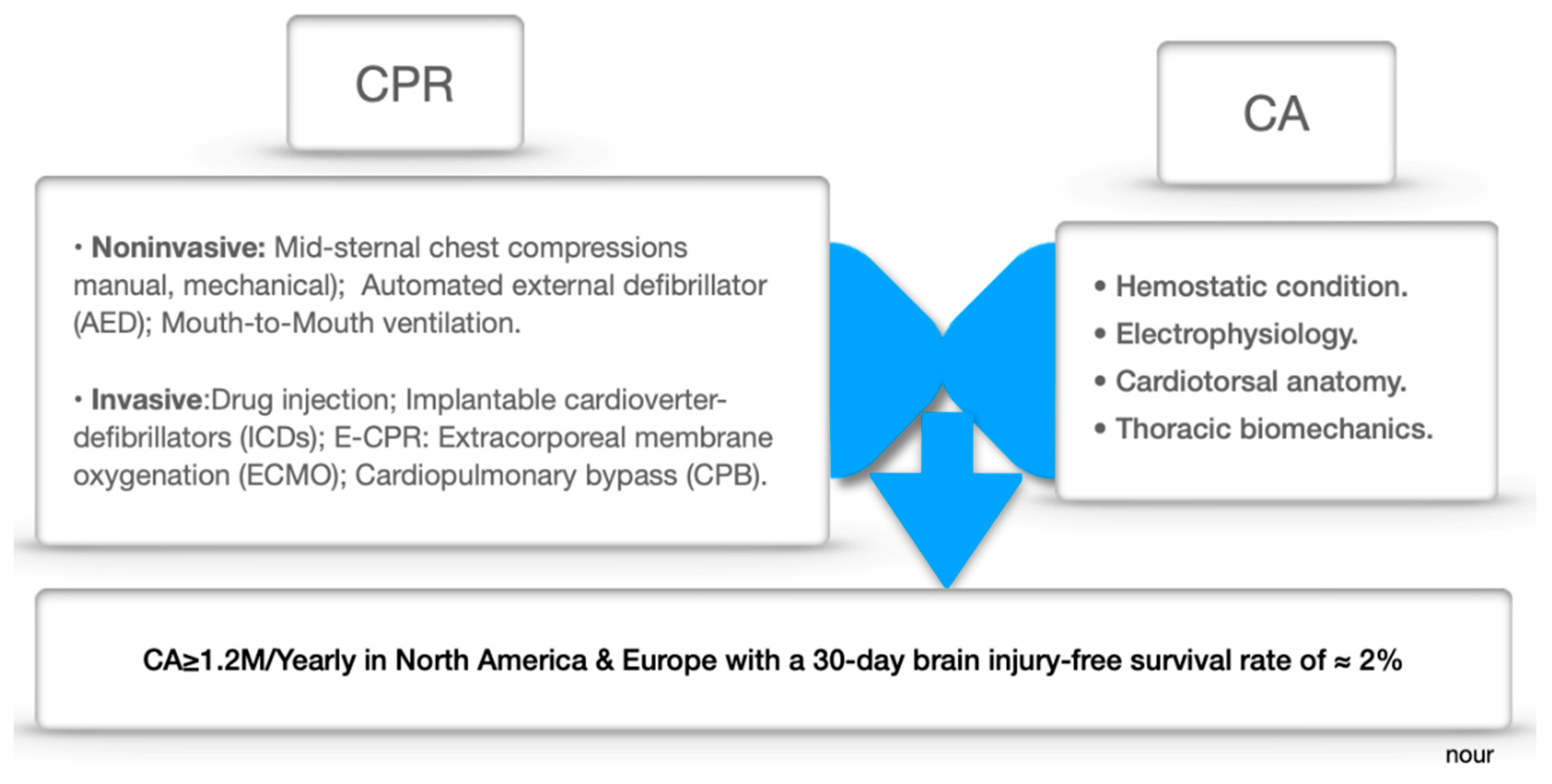 Preprints 155664 g001