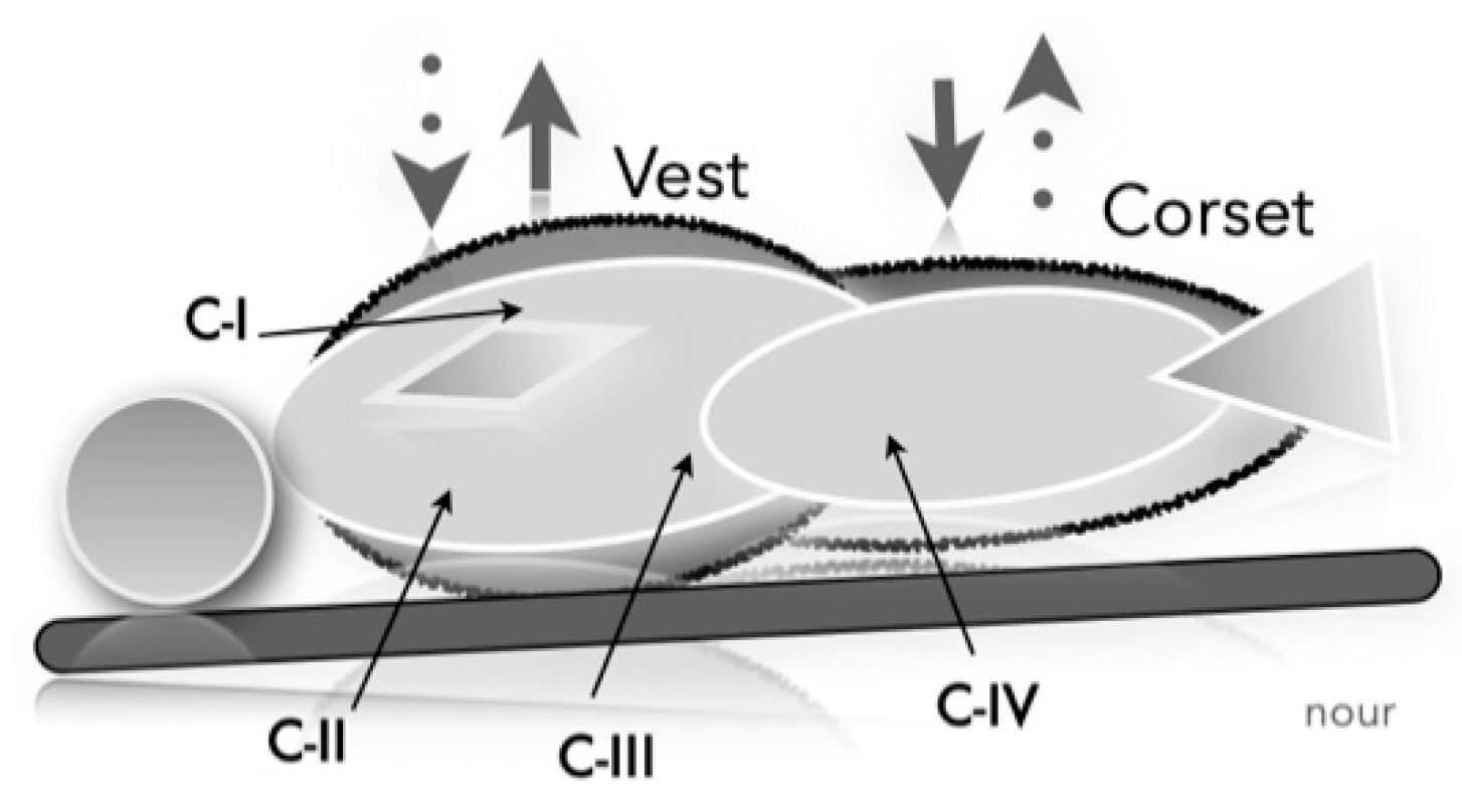 Preprints 155664 g002