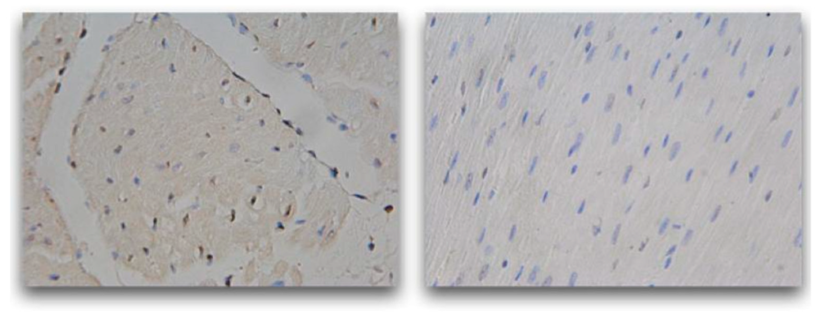 Preprints 155664 g004