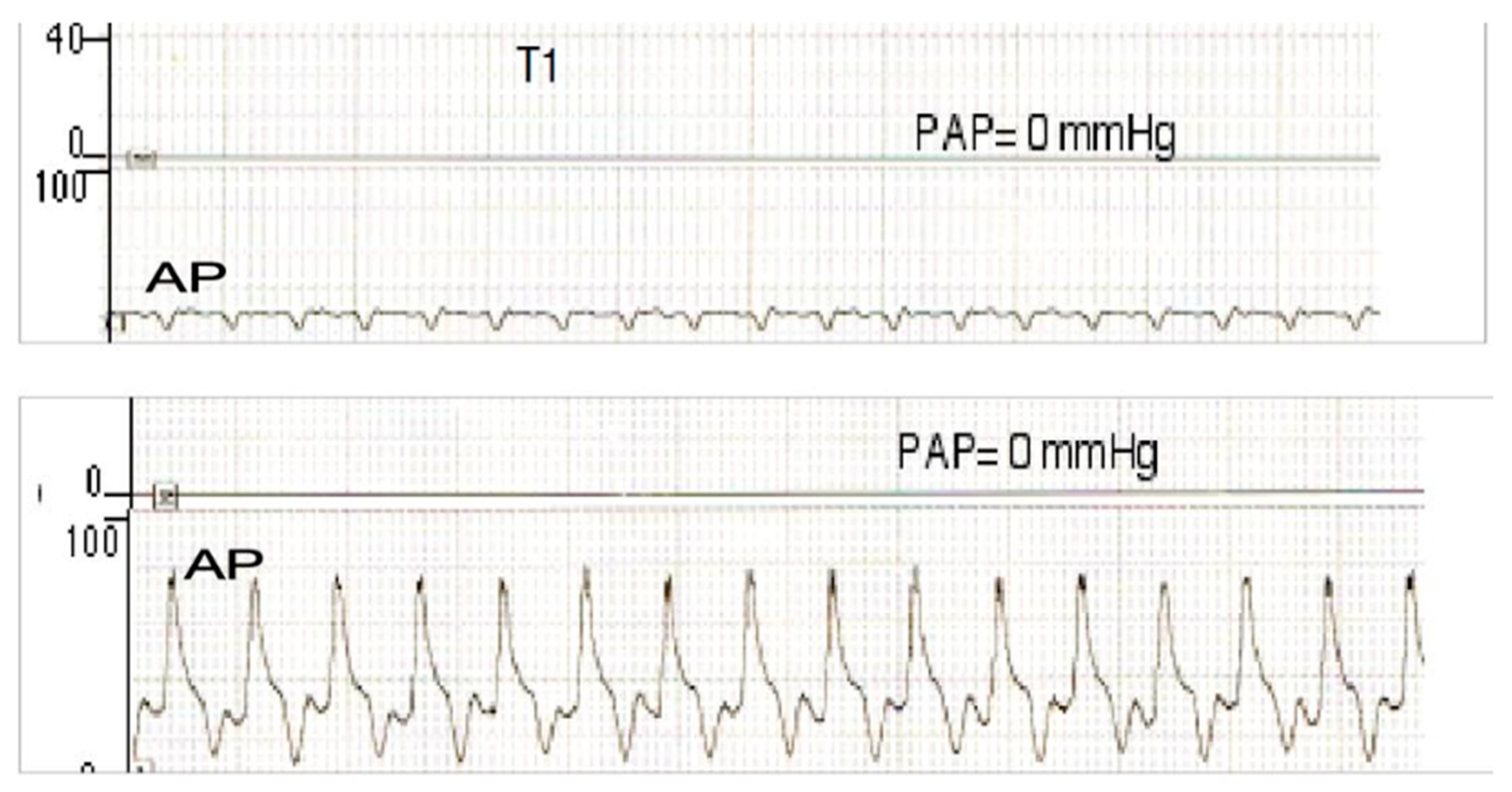 Preprints 155664 g005