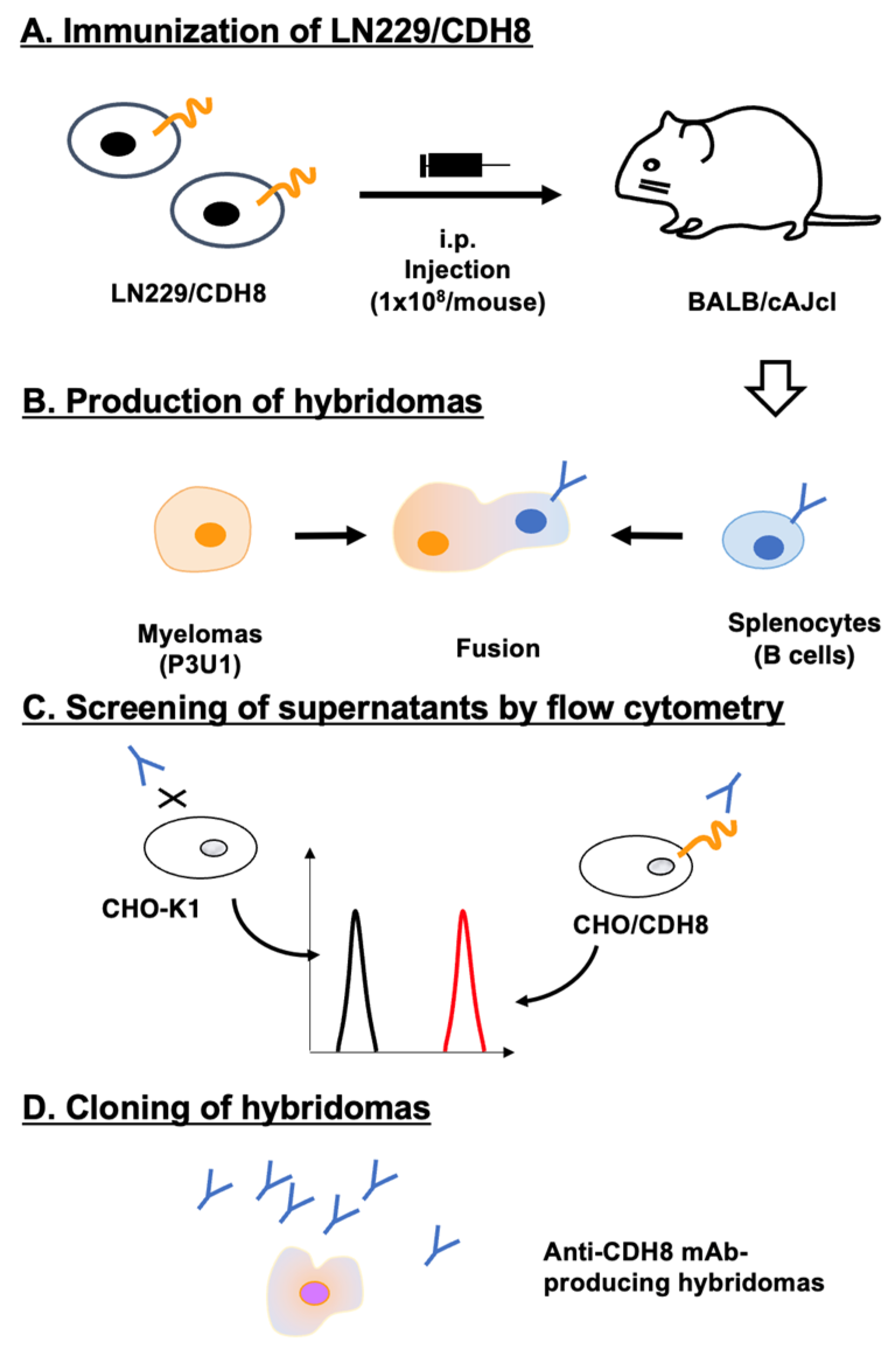 Preprints 194128 g001