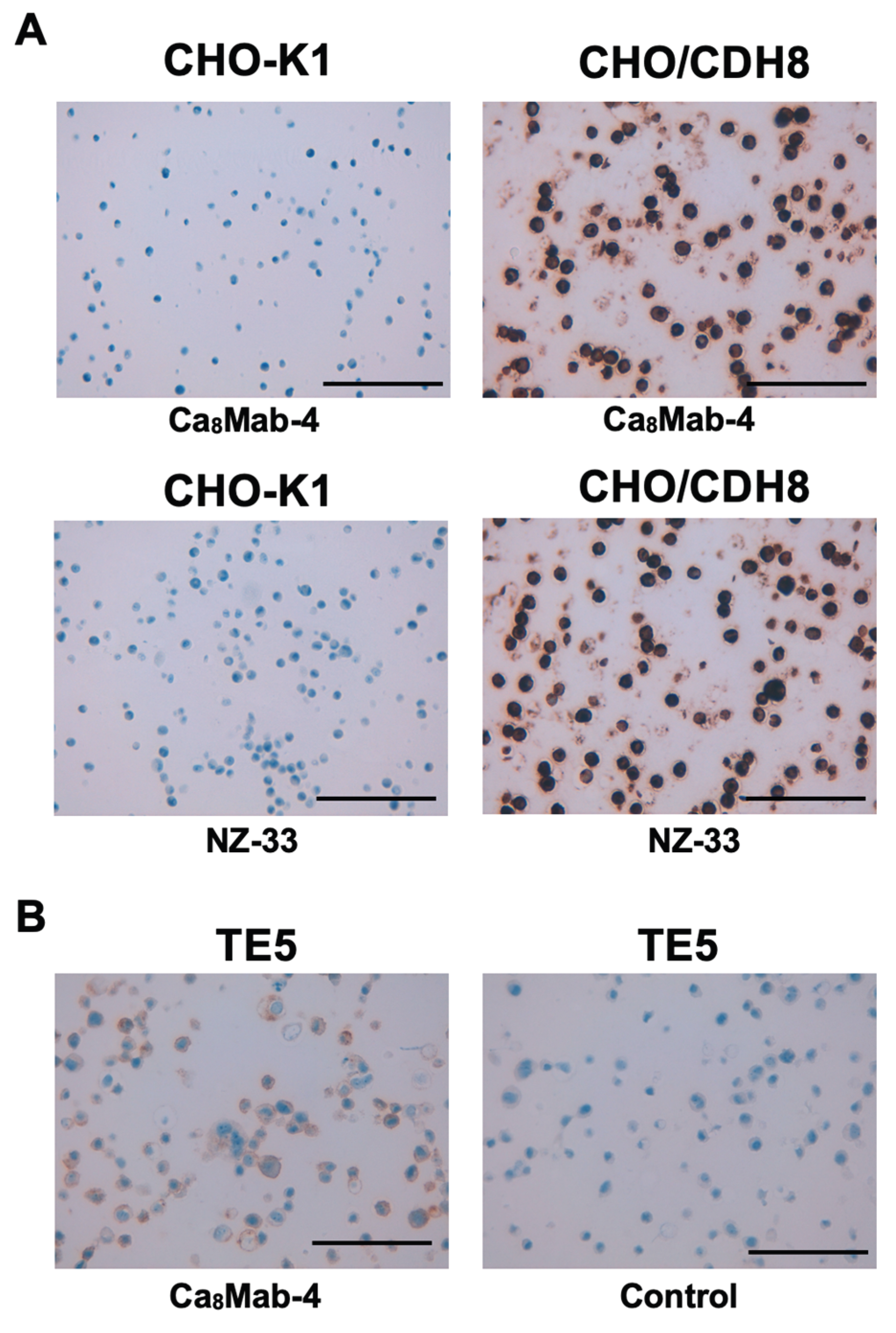 Preprints 194128 g005