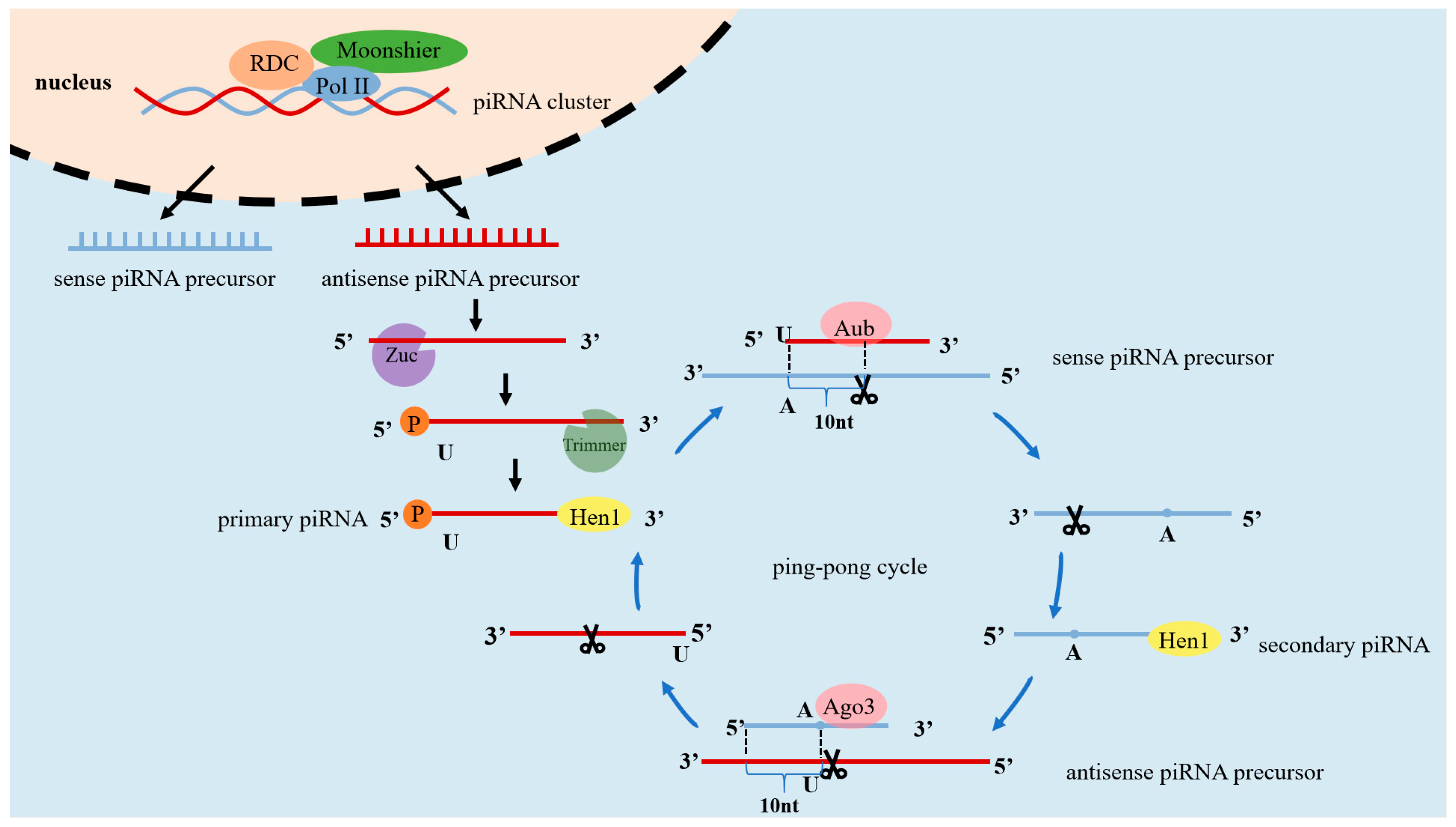 Preprints 157924 g001