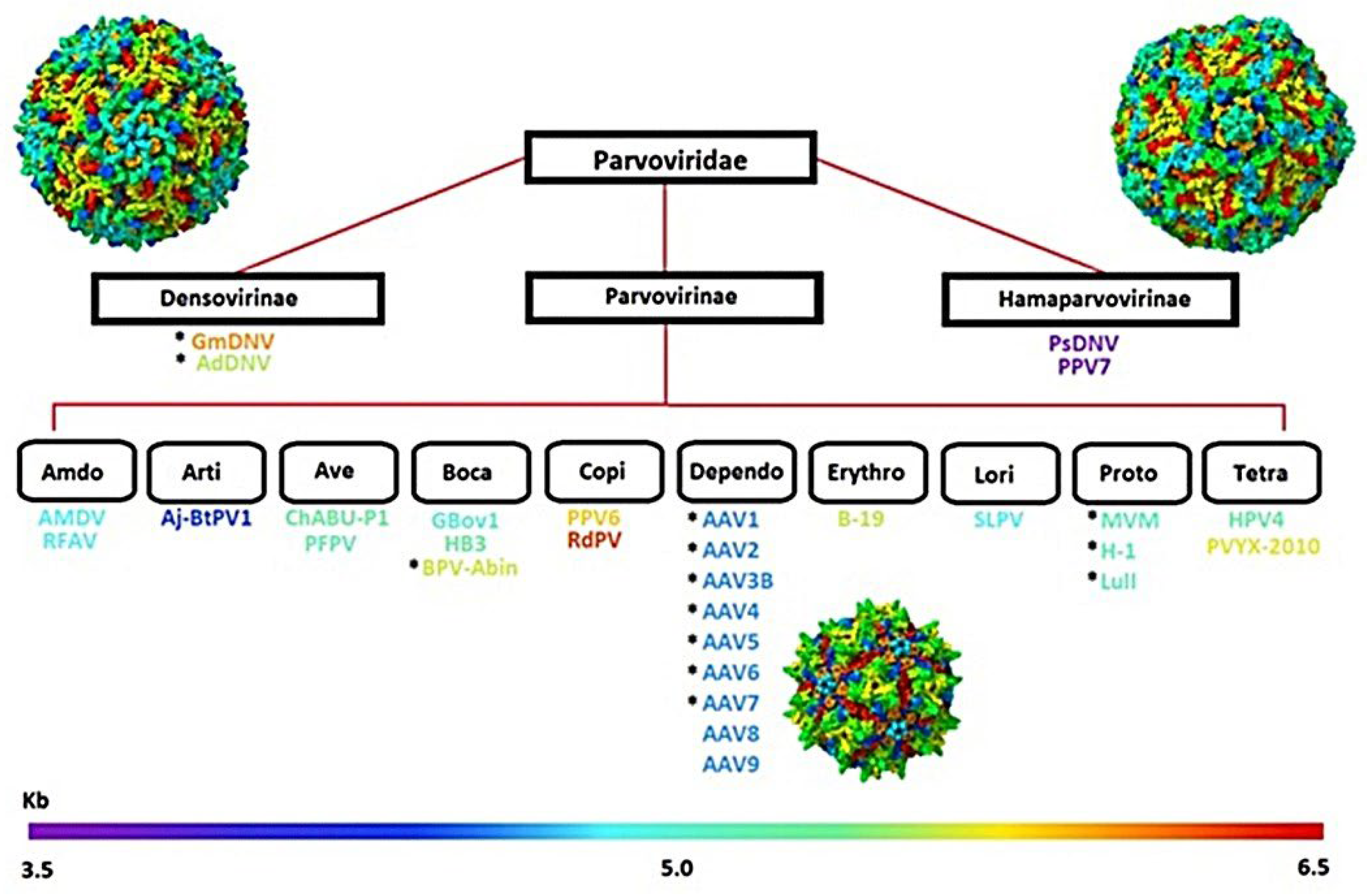 Preprints 199168 g001