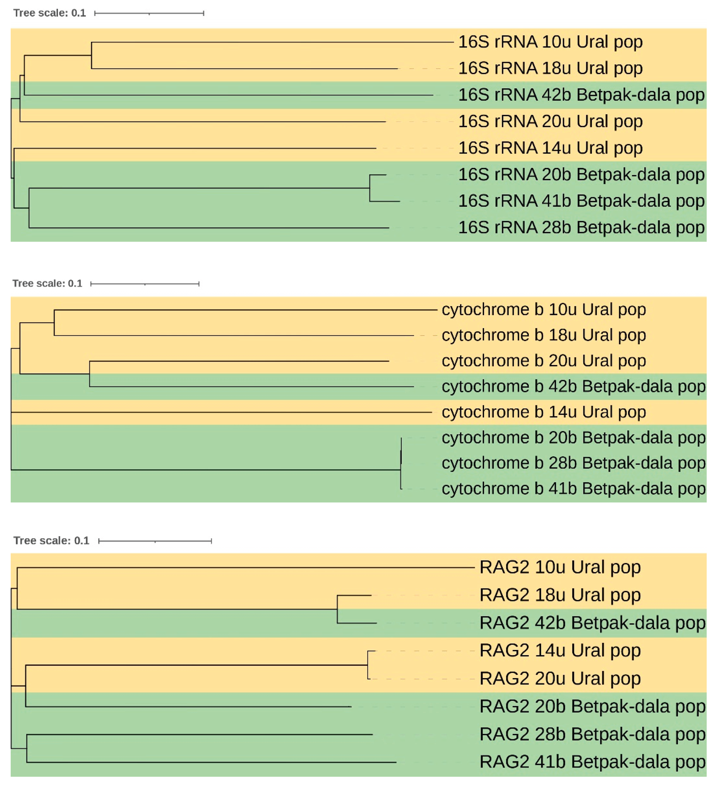 Preprints 171052 g004