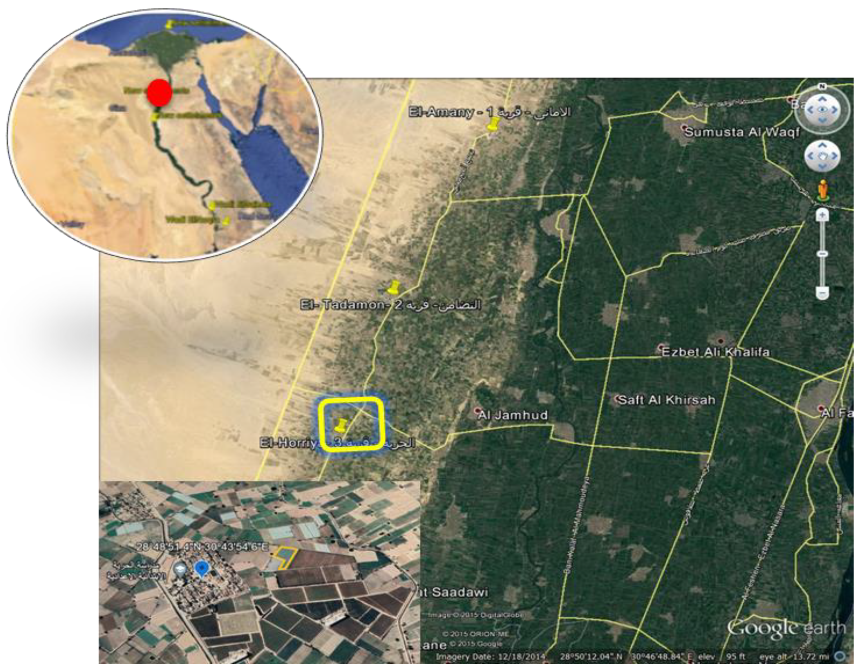 Preprints 140364 g001