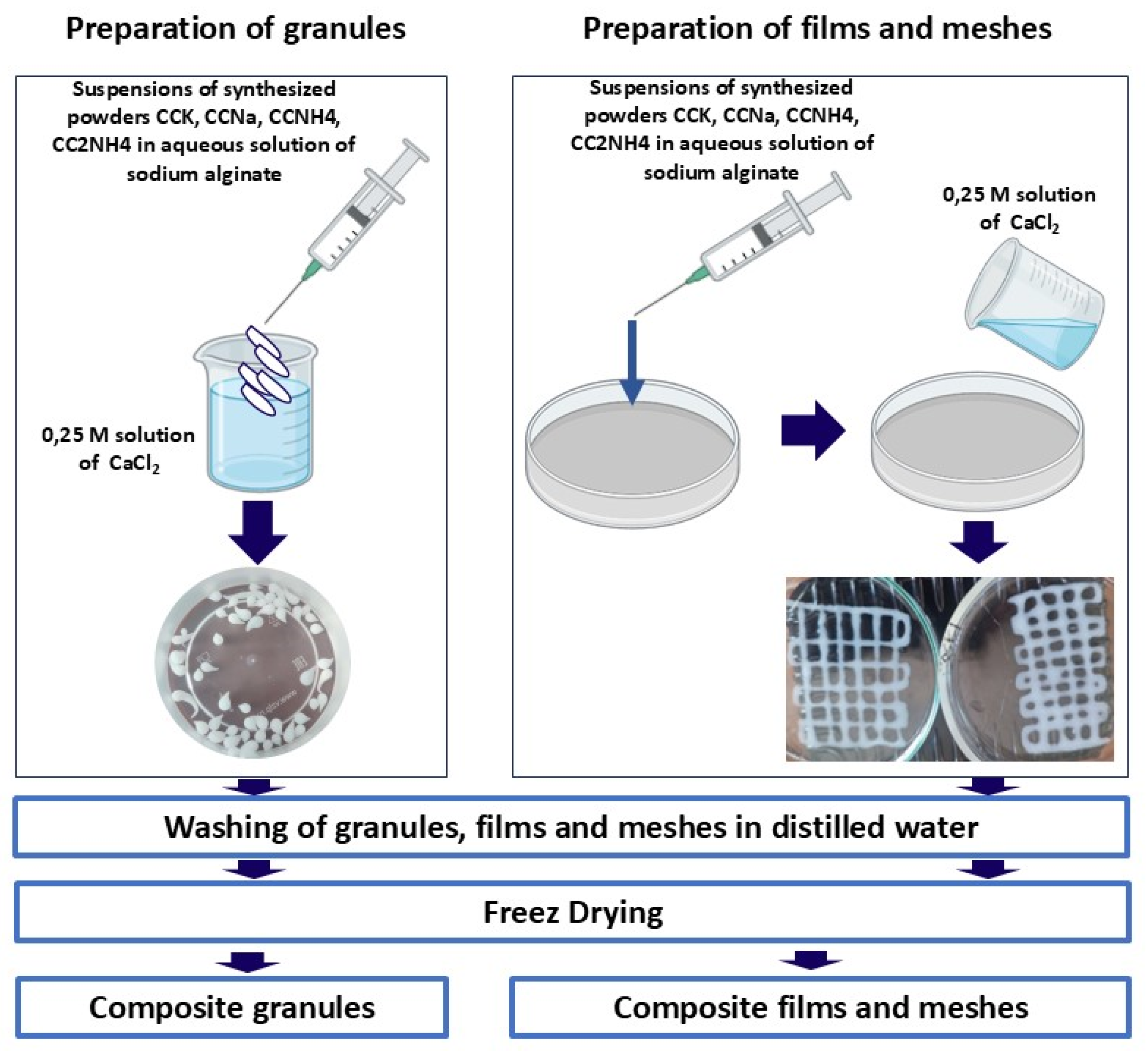 Preprints 200260 g003