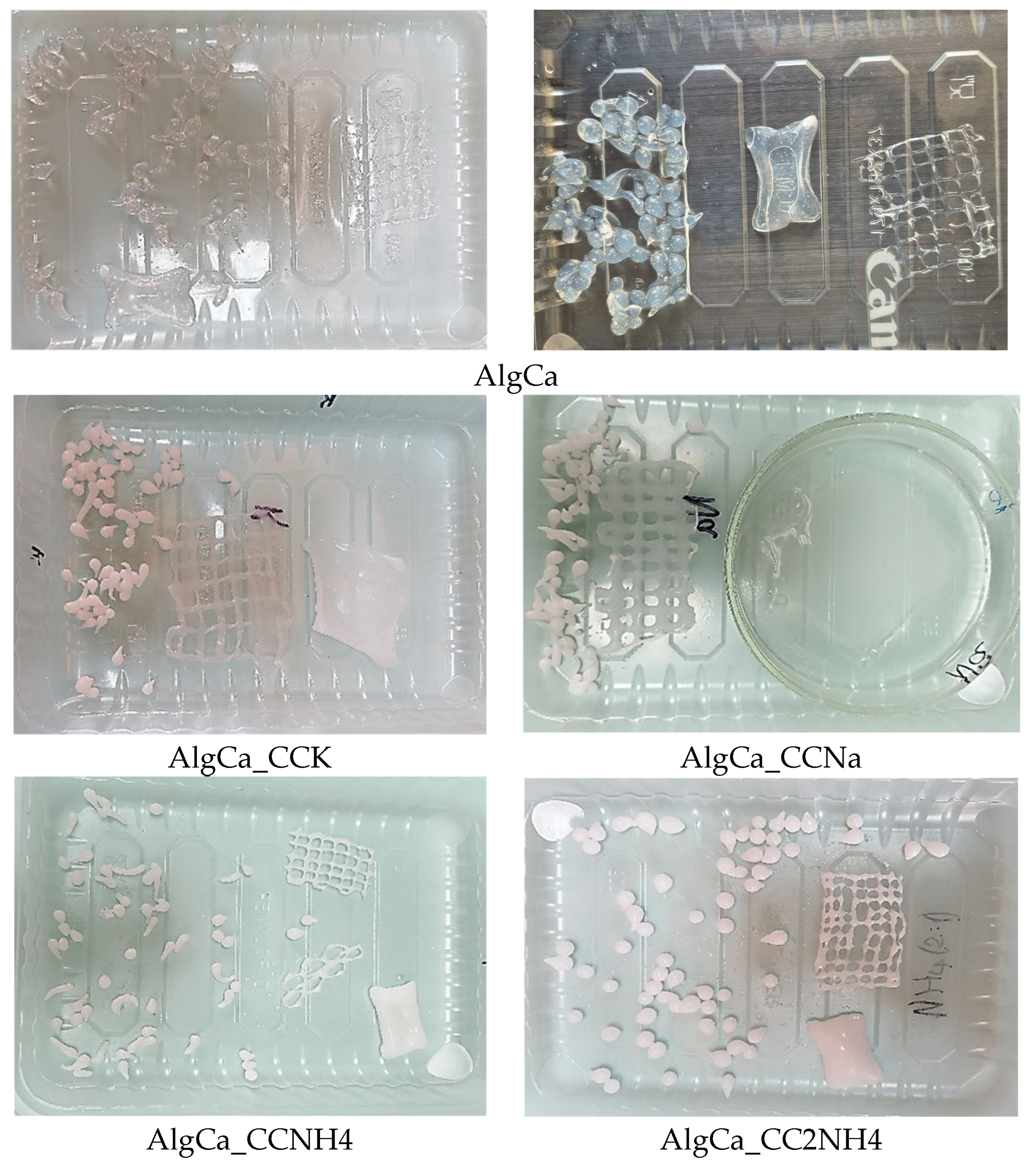Preprints 200260 g004