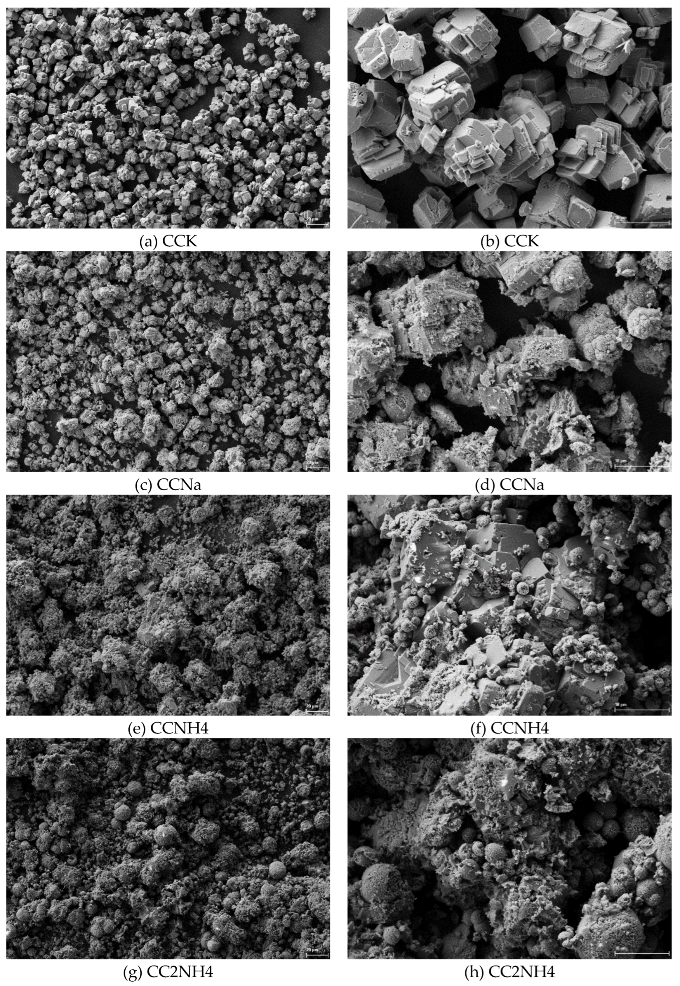 Preprints 200260 g011