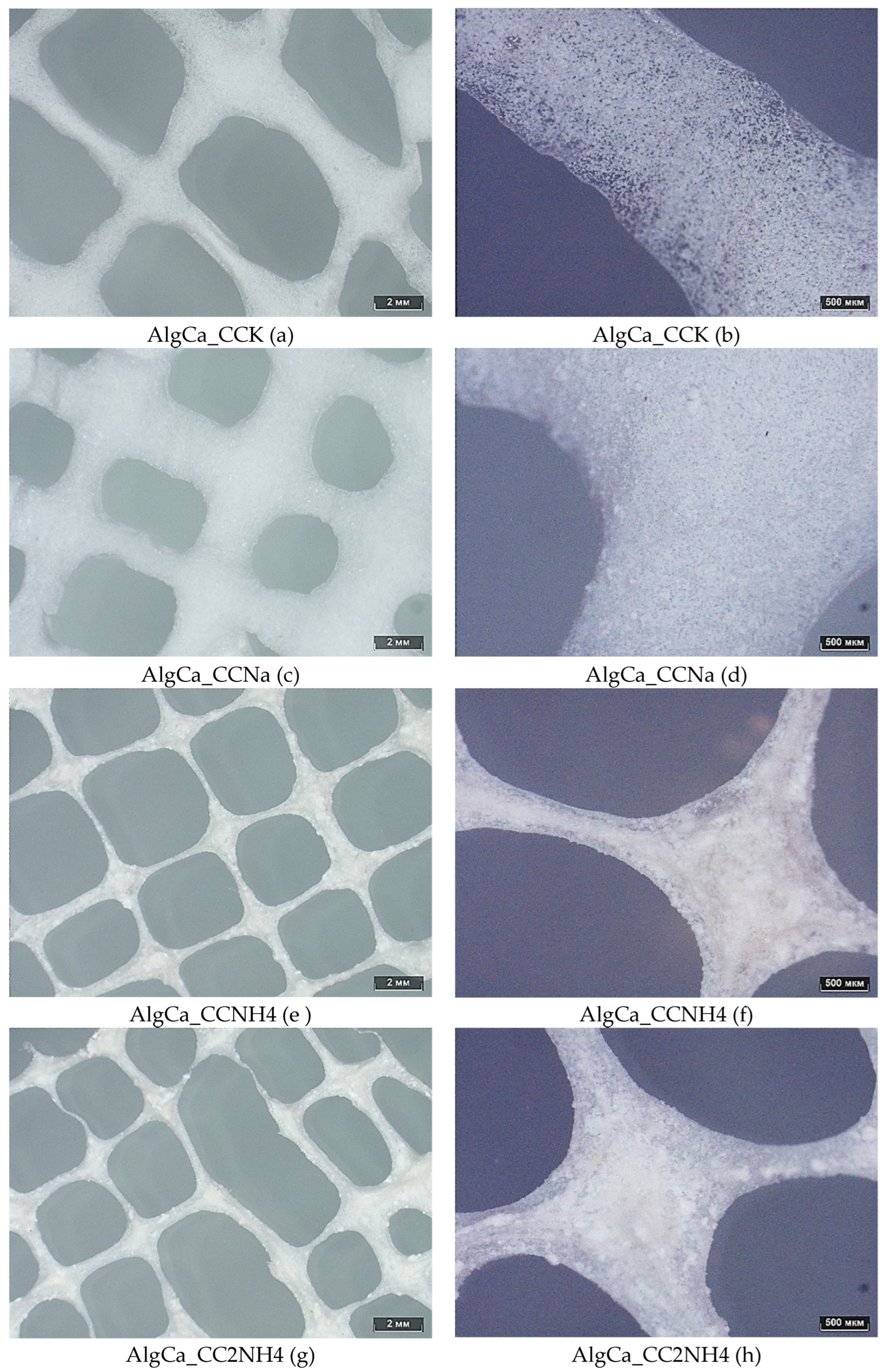 Preprints 200260 g018