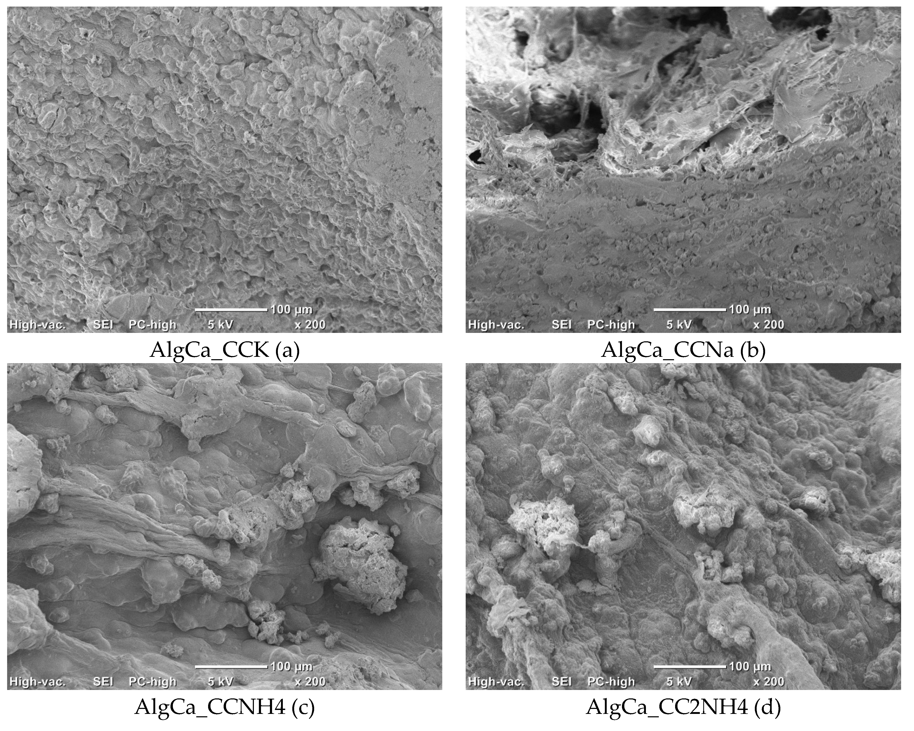Preprints 200260 g019