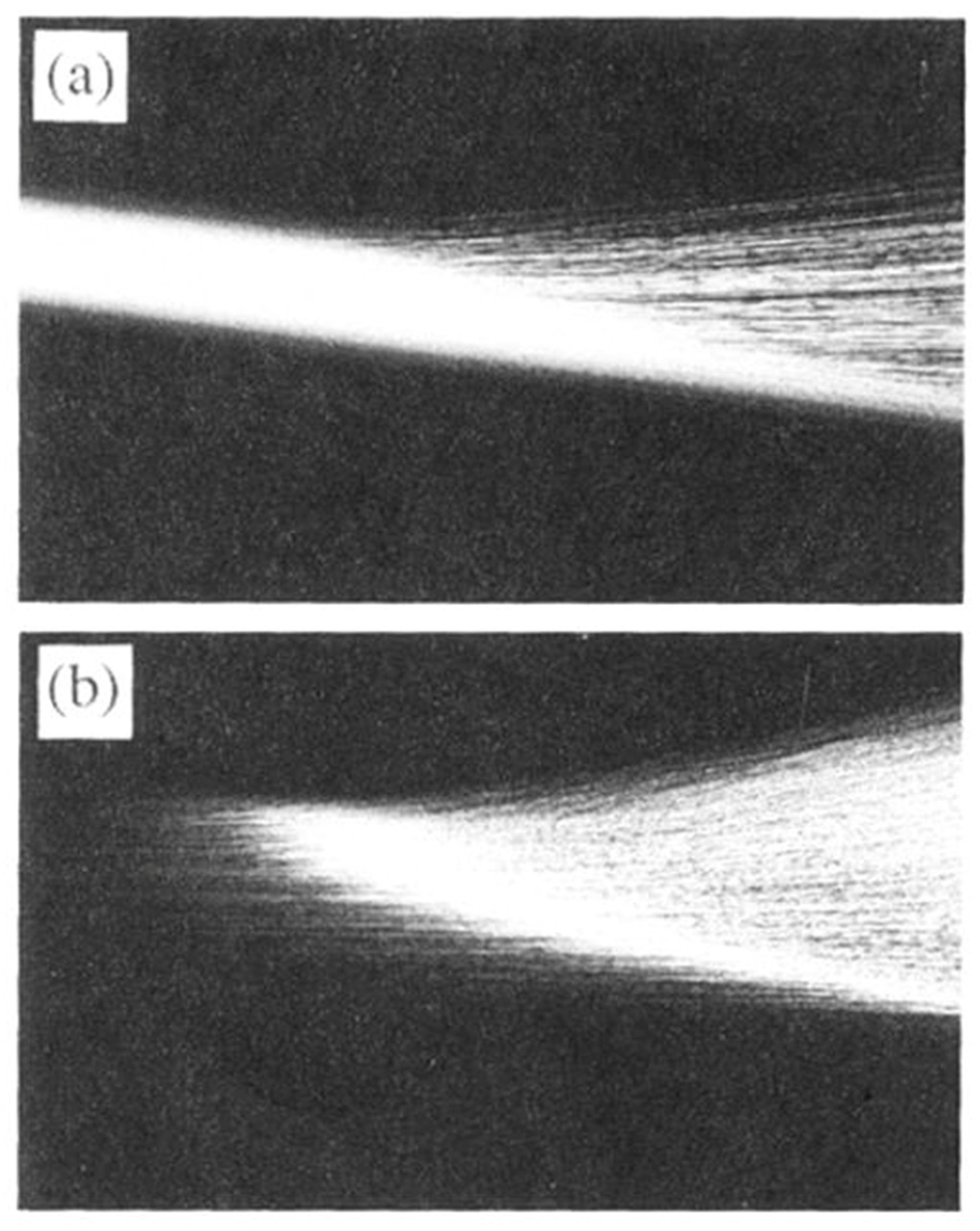 Preprints 144635 g008