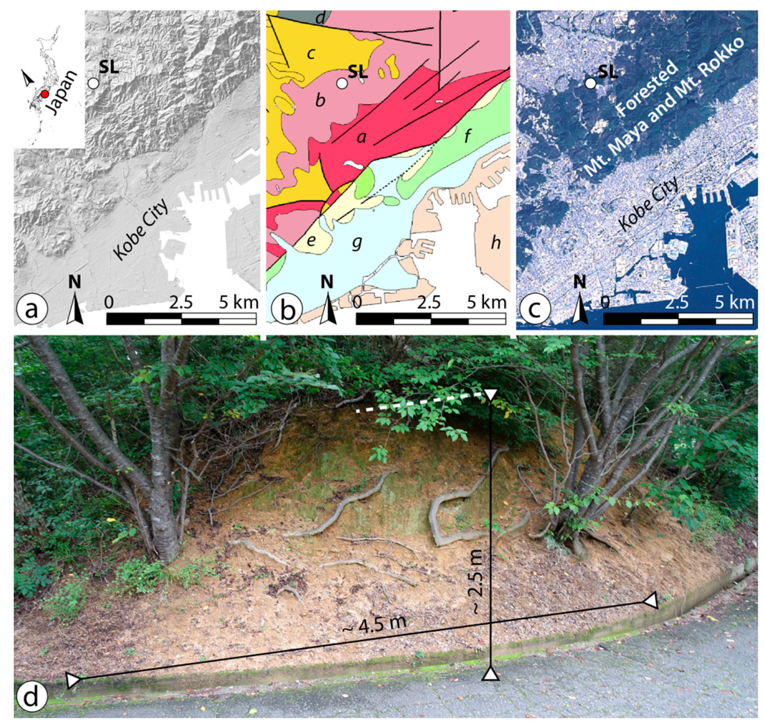 Preprints 71932 g002