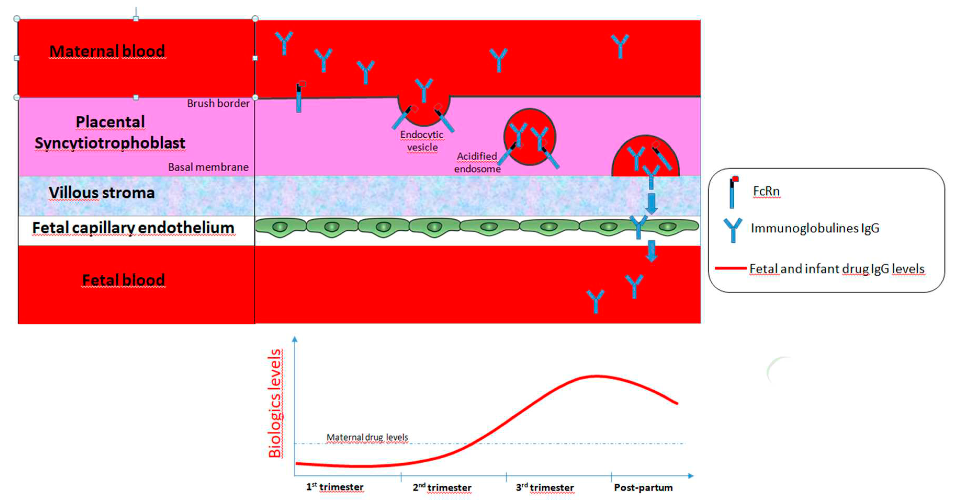 Preprints 86764 g001